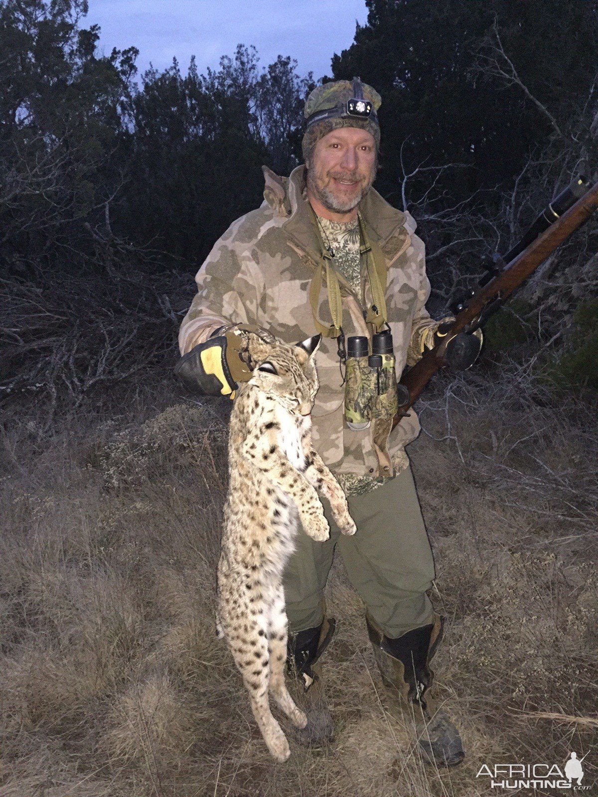 Bobcat Hunting