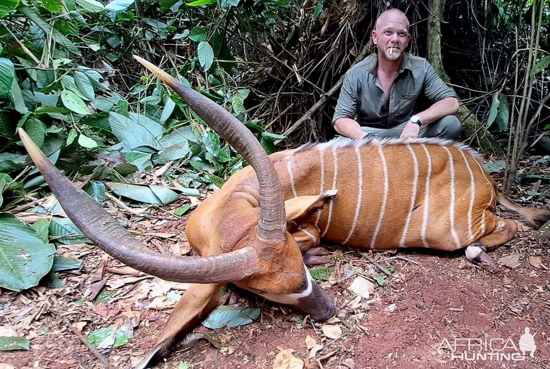 Bongo Hunt Cameroon