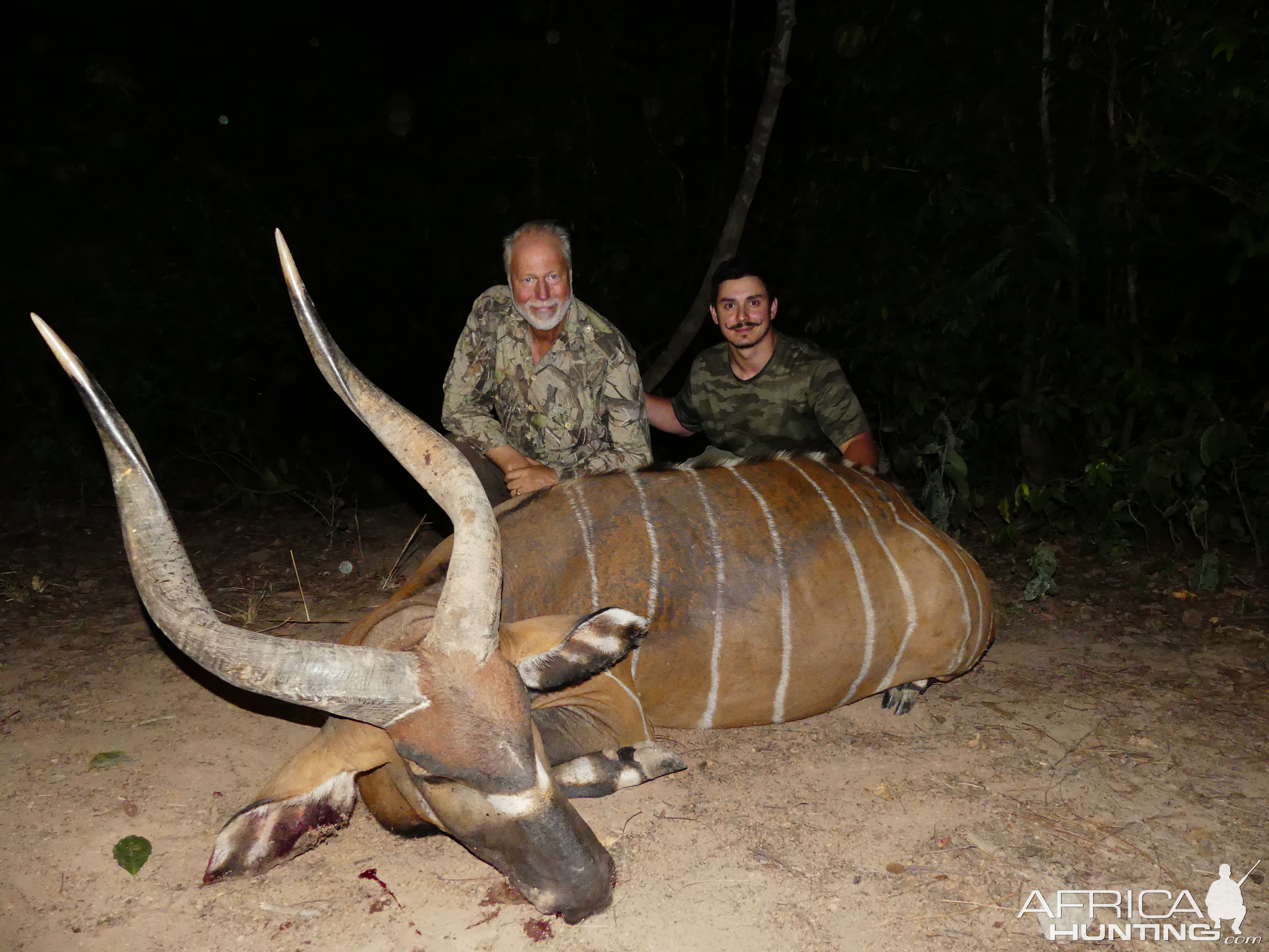 Bongo Hunting Central African Republic C.A.R