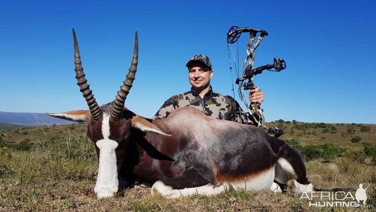 Bontebok Bow Hunting in South Africa