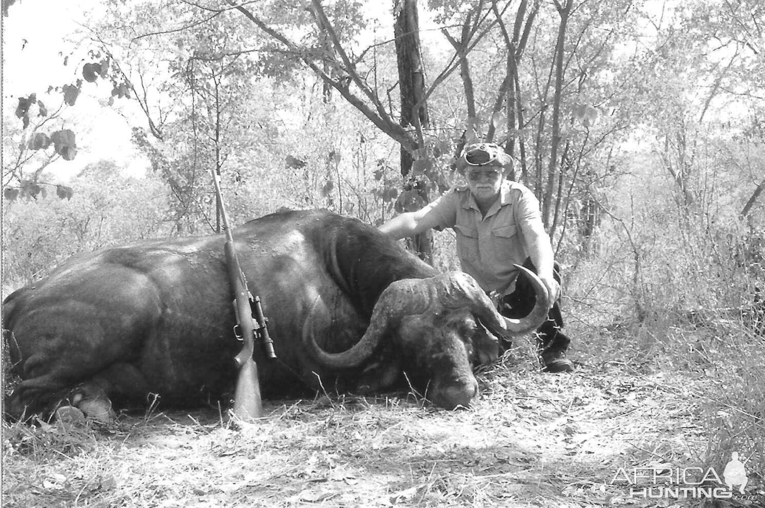 Book: There’s Something About Buffalo by Kevin Thomas