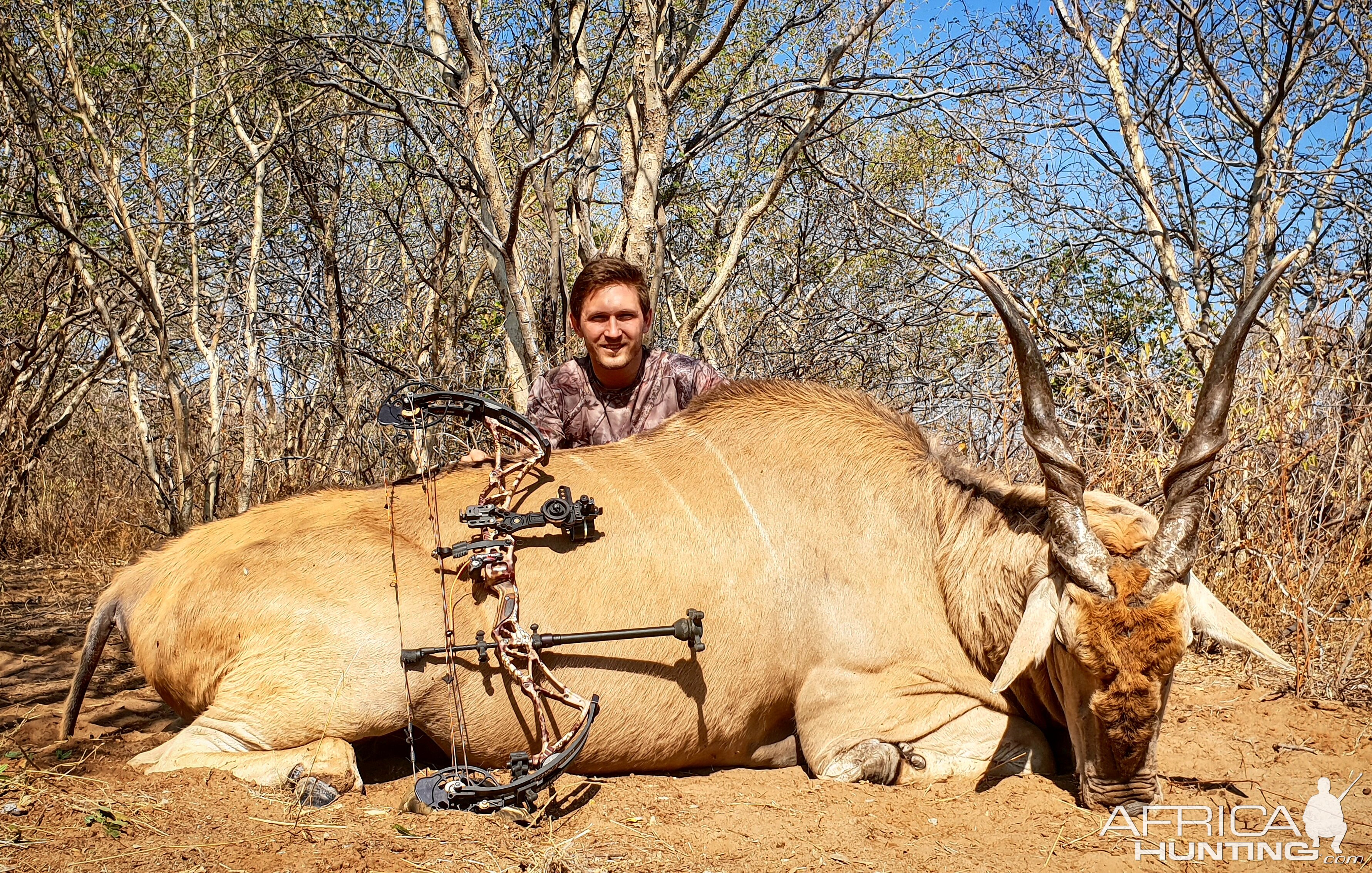 Botswana Bow Hunting Eland