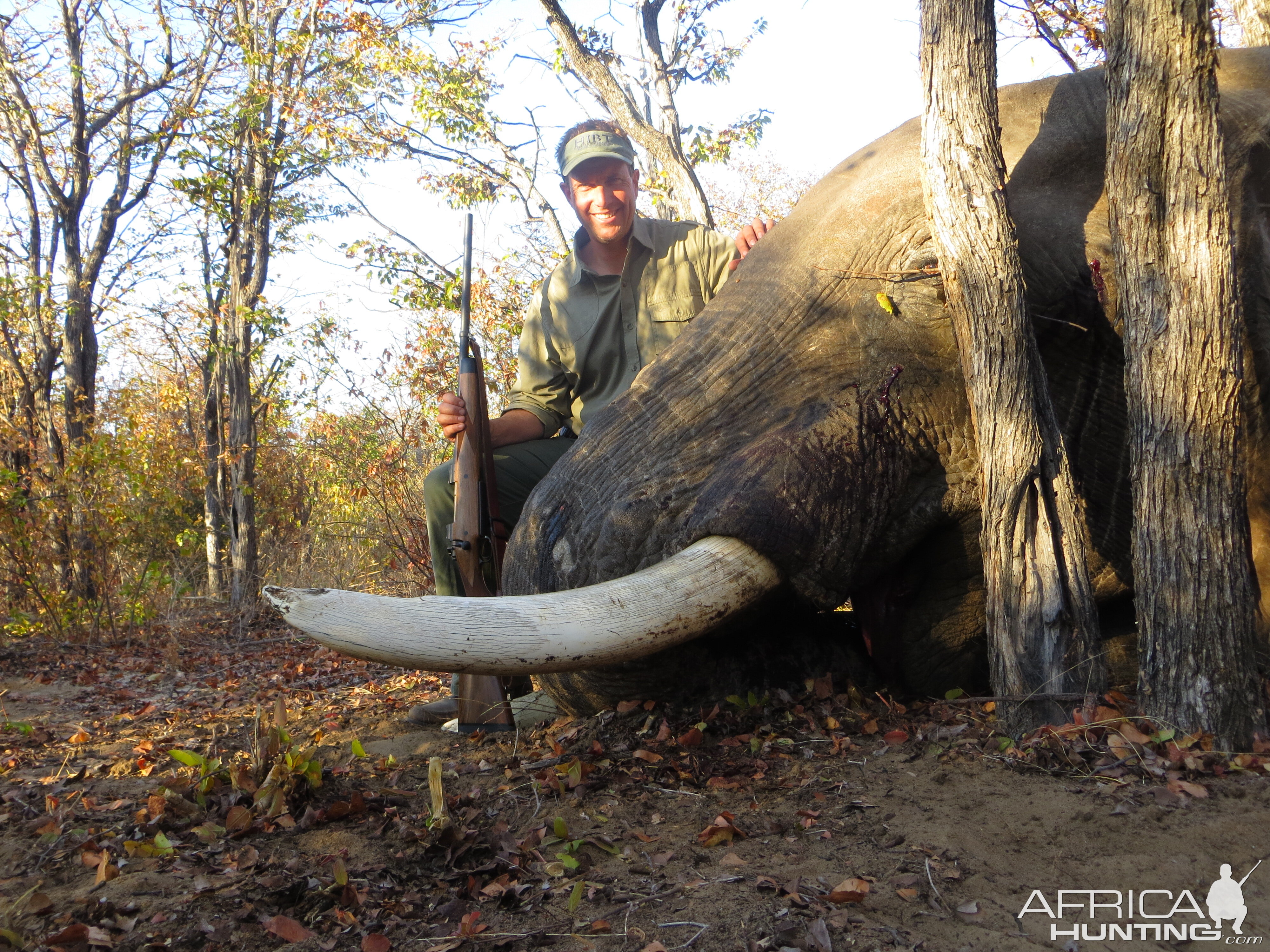 Botswana Elephant