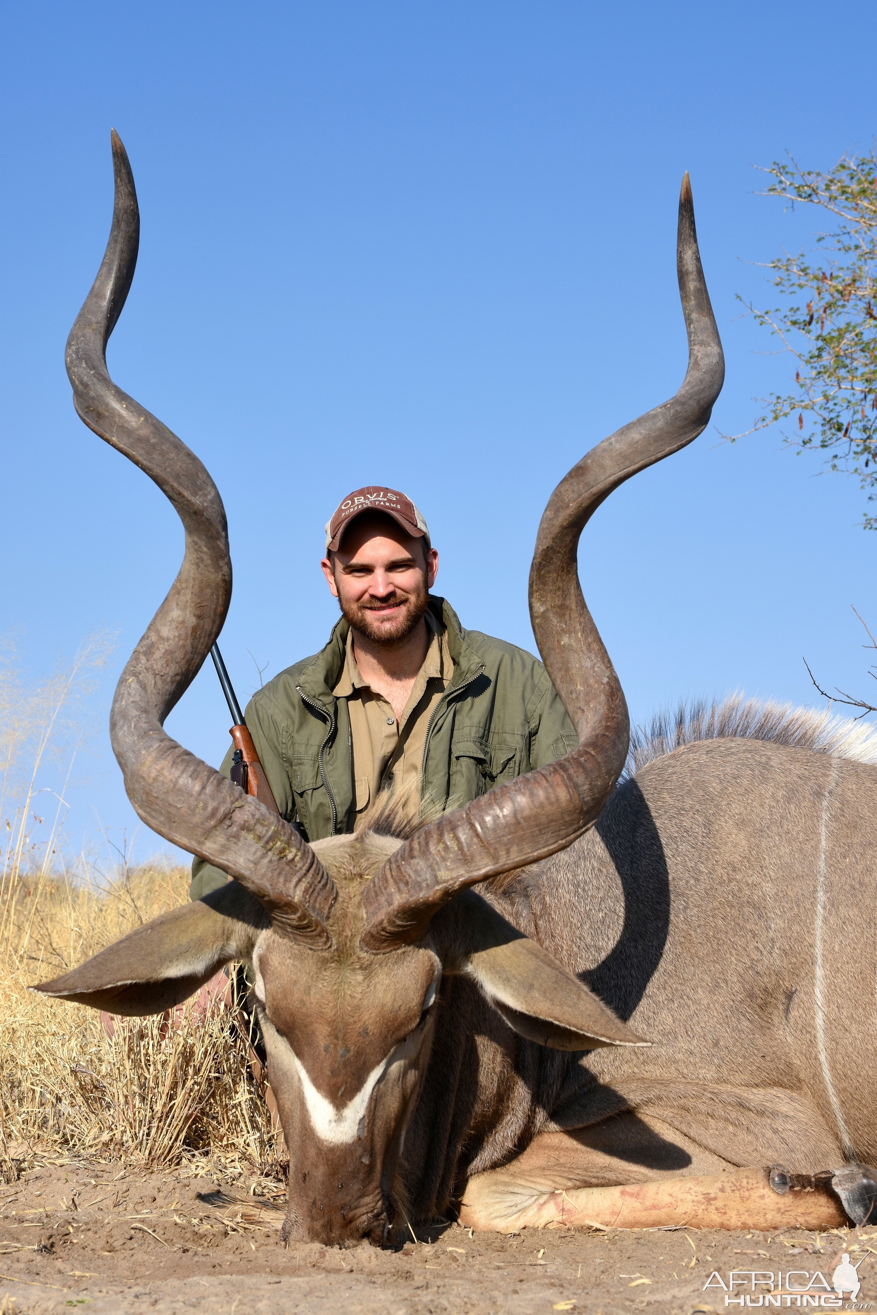 Botswana Hunt Kudu