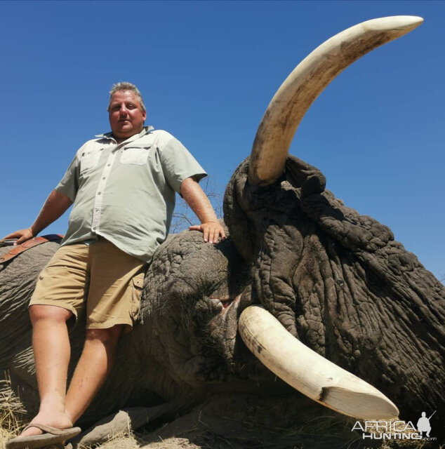 Botswana Hunting 70 Pounder Elephant