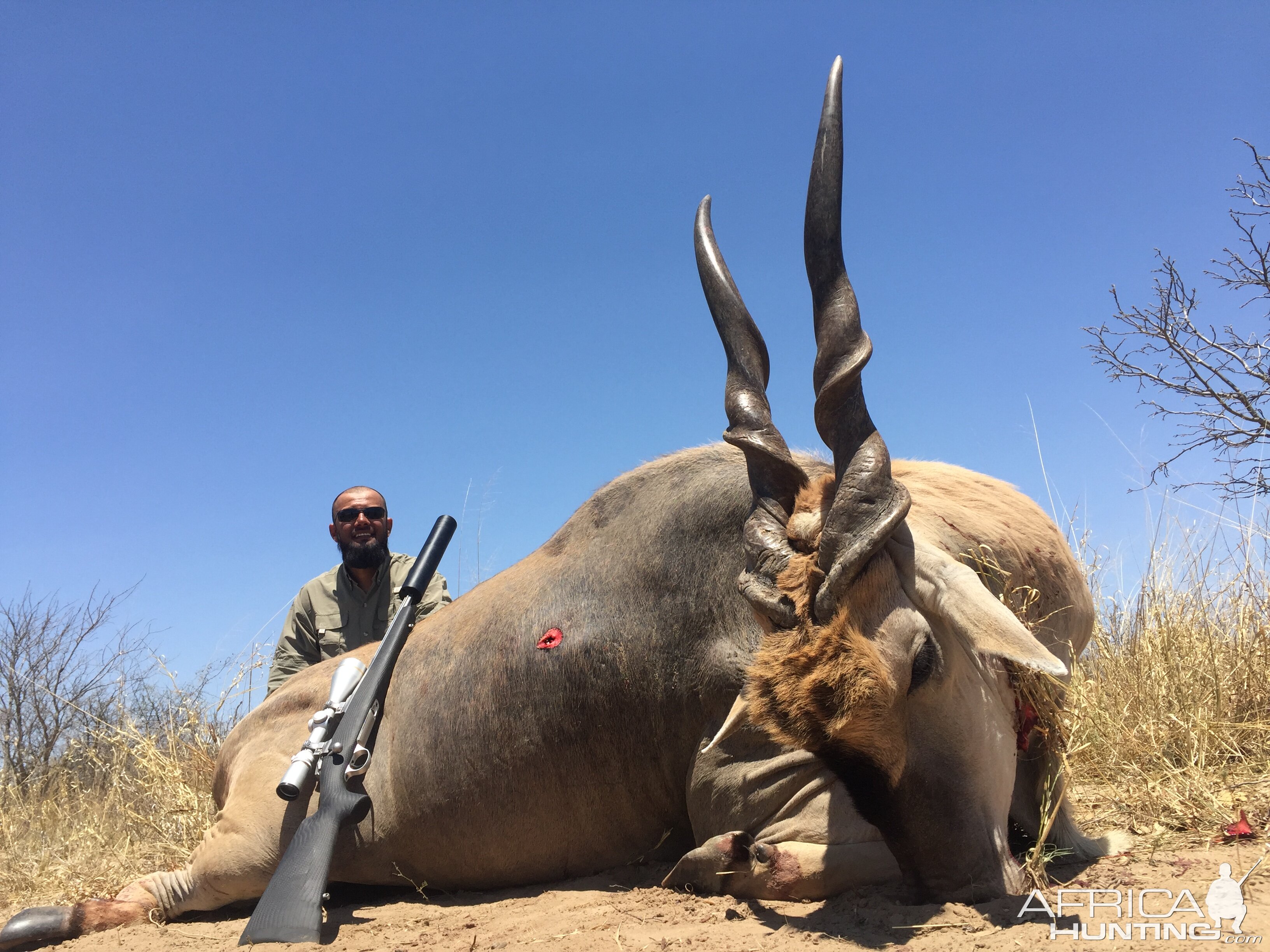 Botswana Hunting Eland 45.5 in