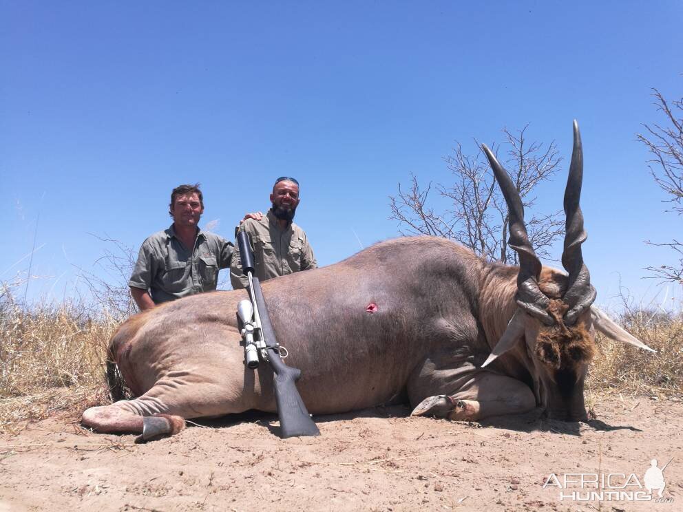 Botswana Hunting Eland 45.5 in