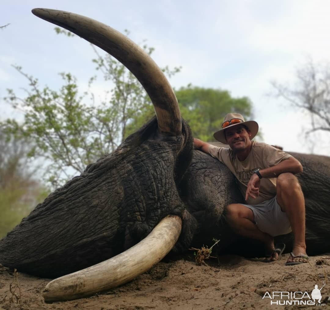 Botswana Hunting Elephant