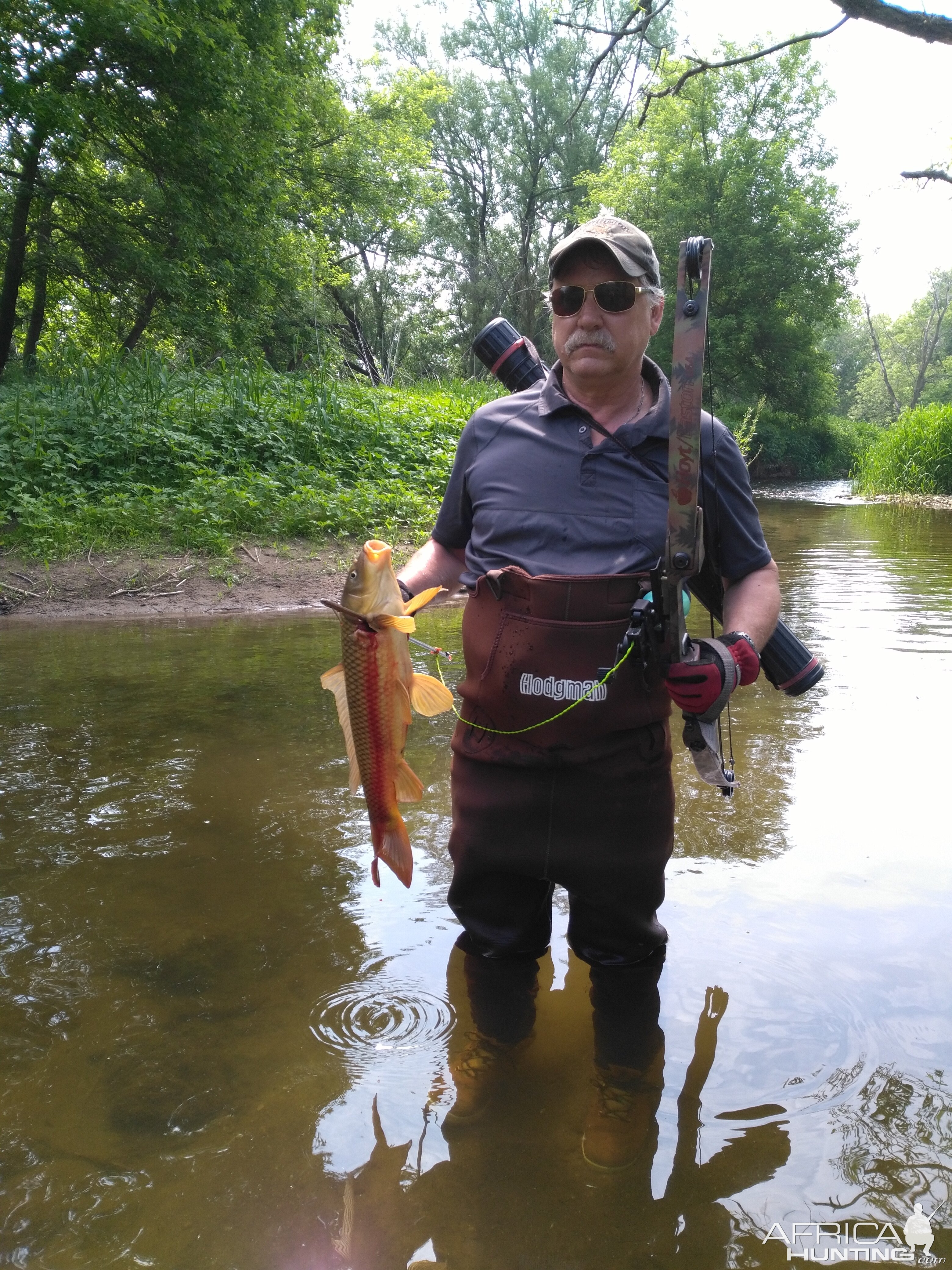 Bow Fishing Carp