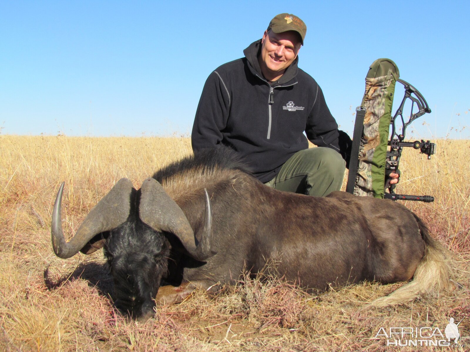 Bow Hunt Black Wildebeest in South Africa
