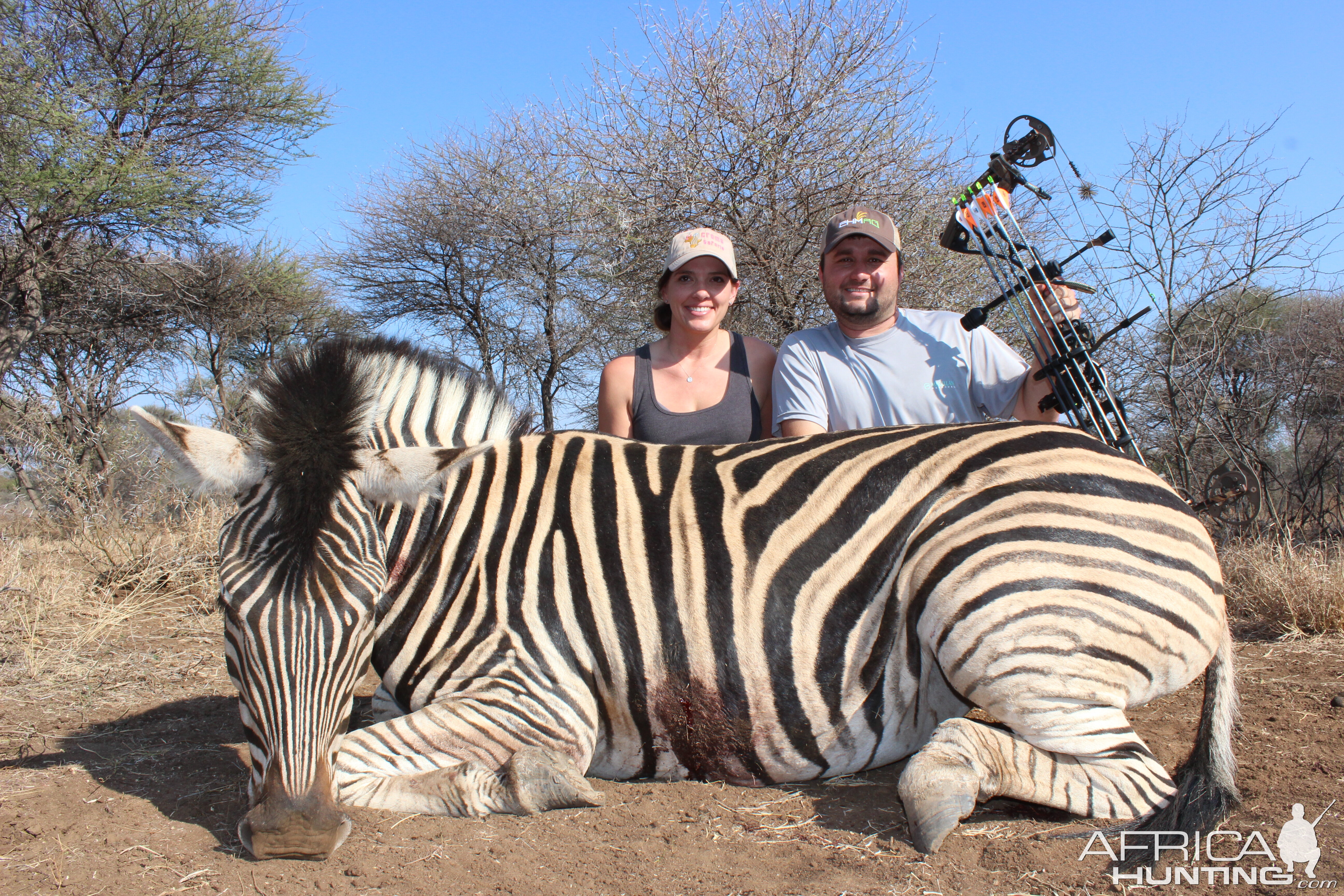 Bow Hunt Burchell's Plain Zebra in South Africa
