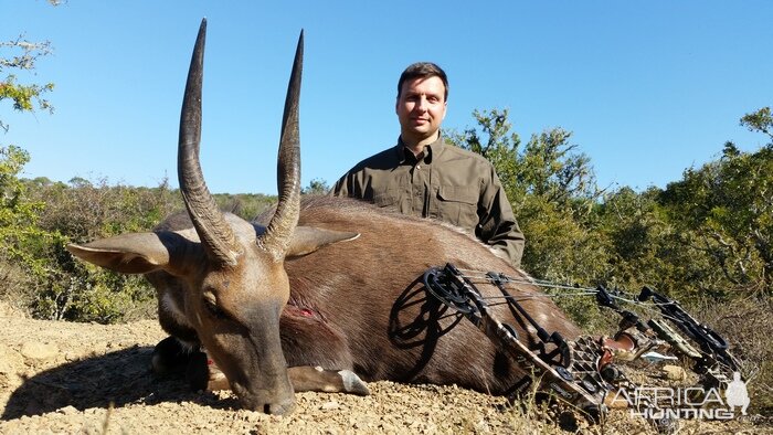 Bow Hunt Bushbuck South Africa