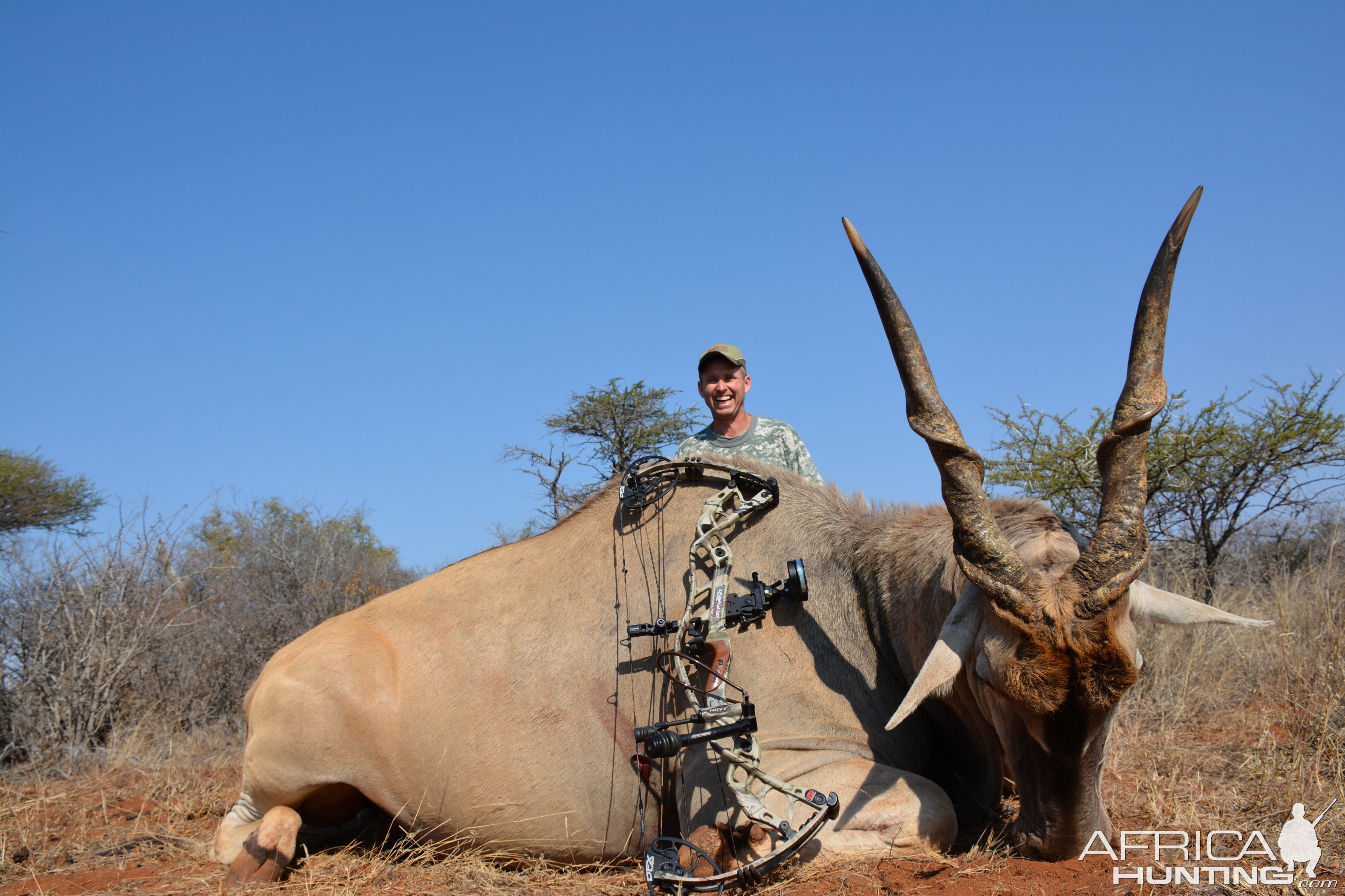 Bow Hunt Eland in South Africa