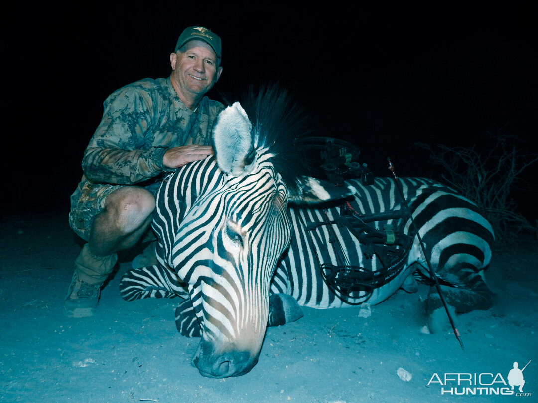 Bow Hunt Hartmann's Mountain Zebra in Namibia