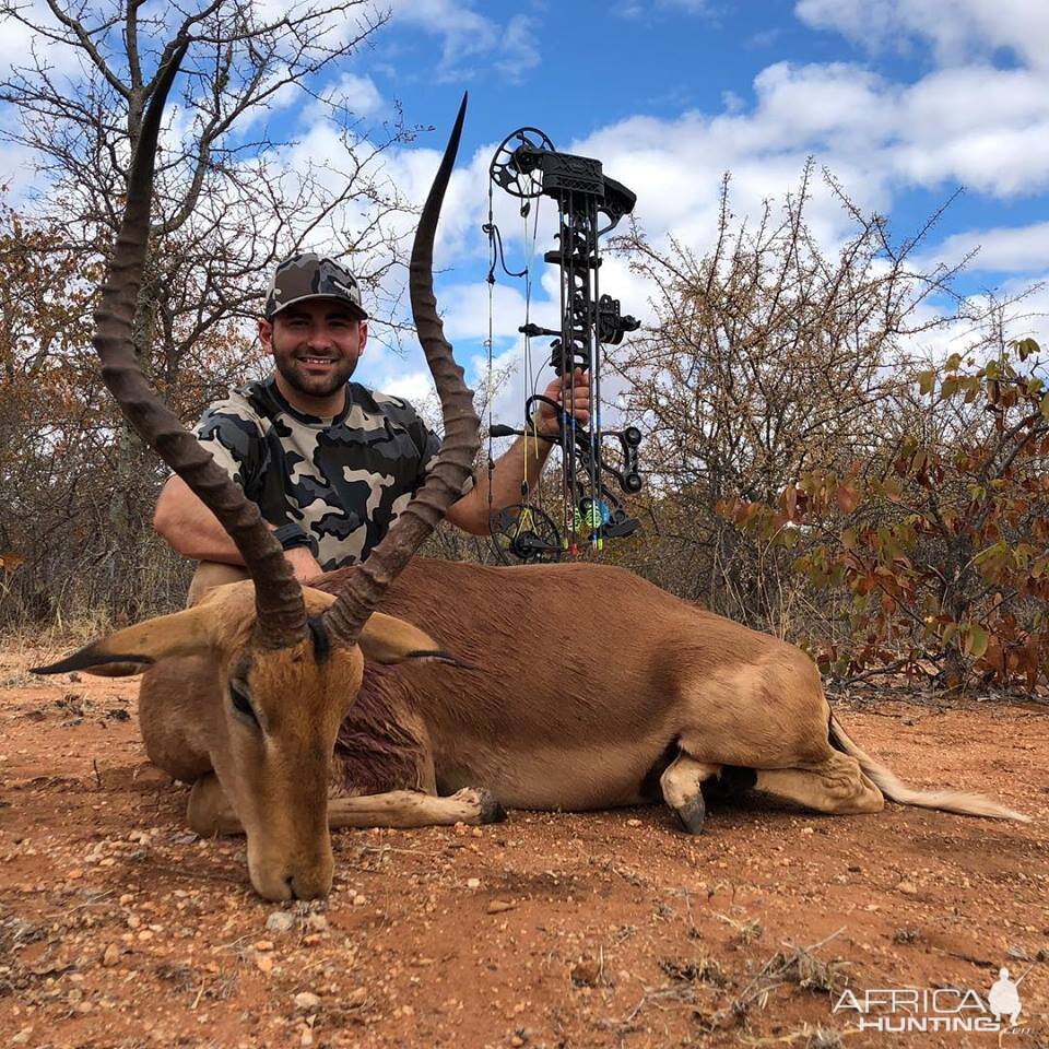 Bow Hunt Impala in South Africa