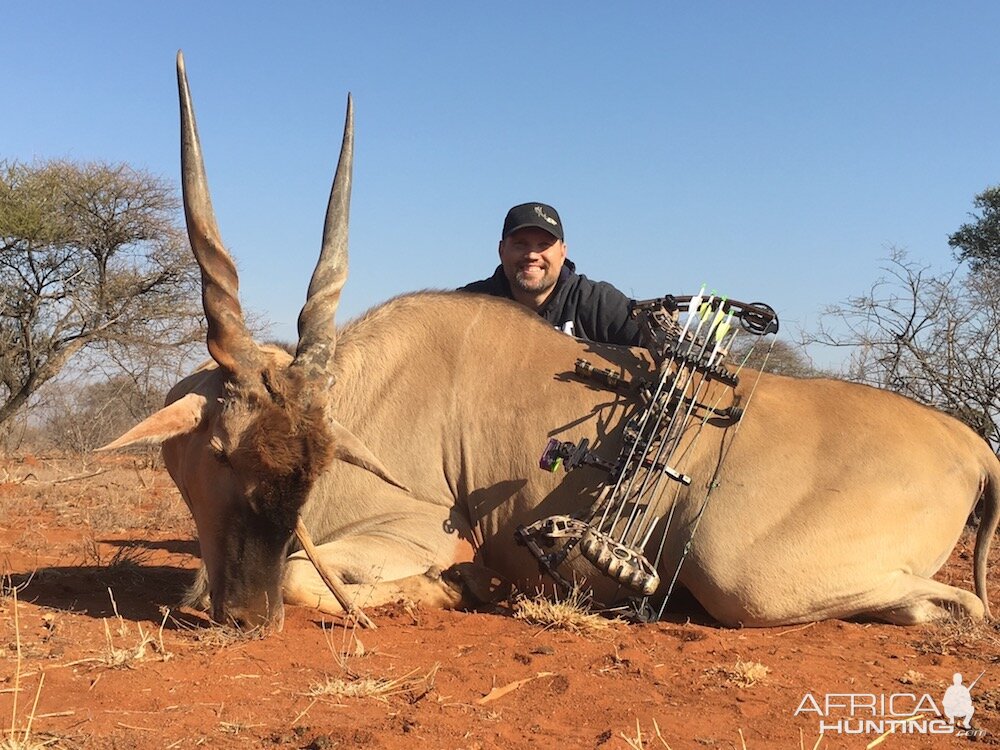 Bow Hunt South Africa Eland