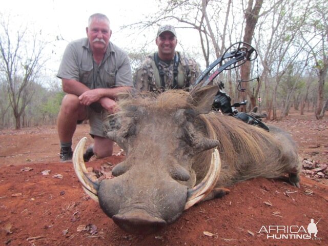 Bow Hunt Warthog