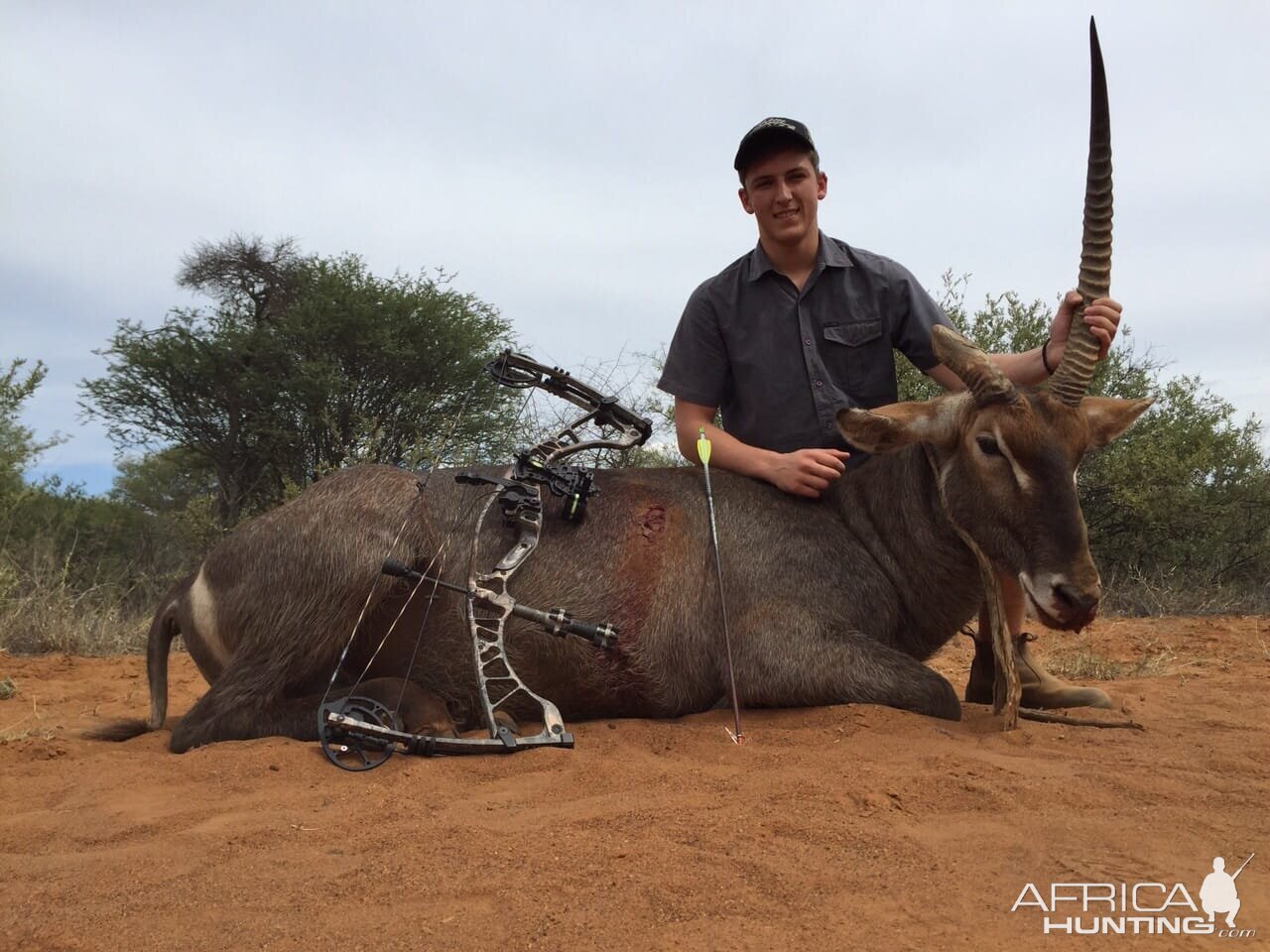 Bow Hunt Waterbuck in South Africa