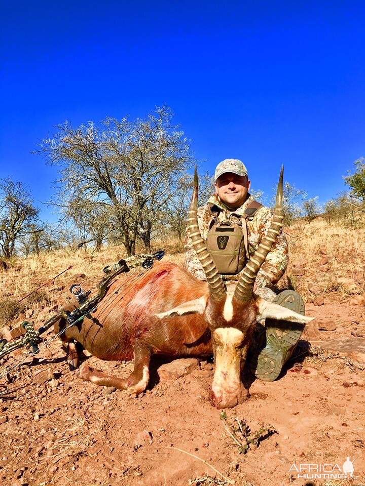 Bow Hunting Blesbok in South Africa