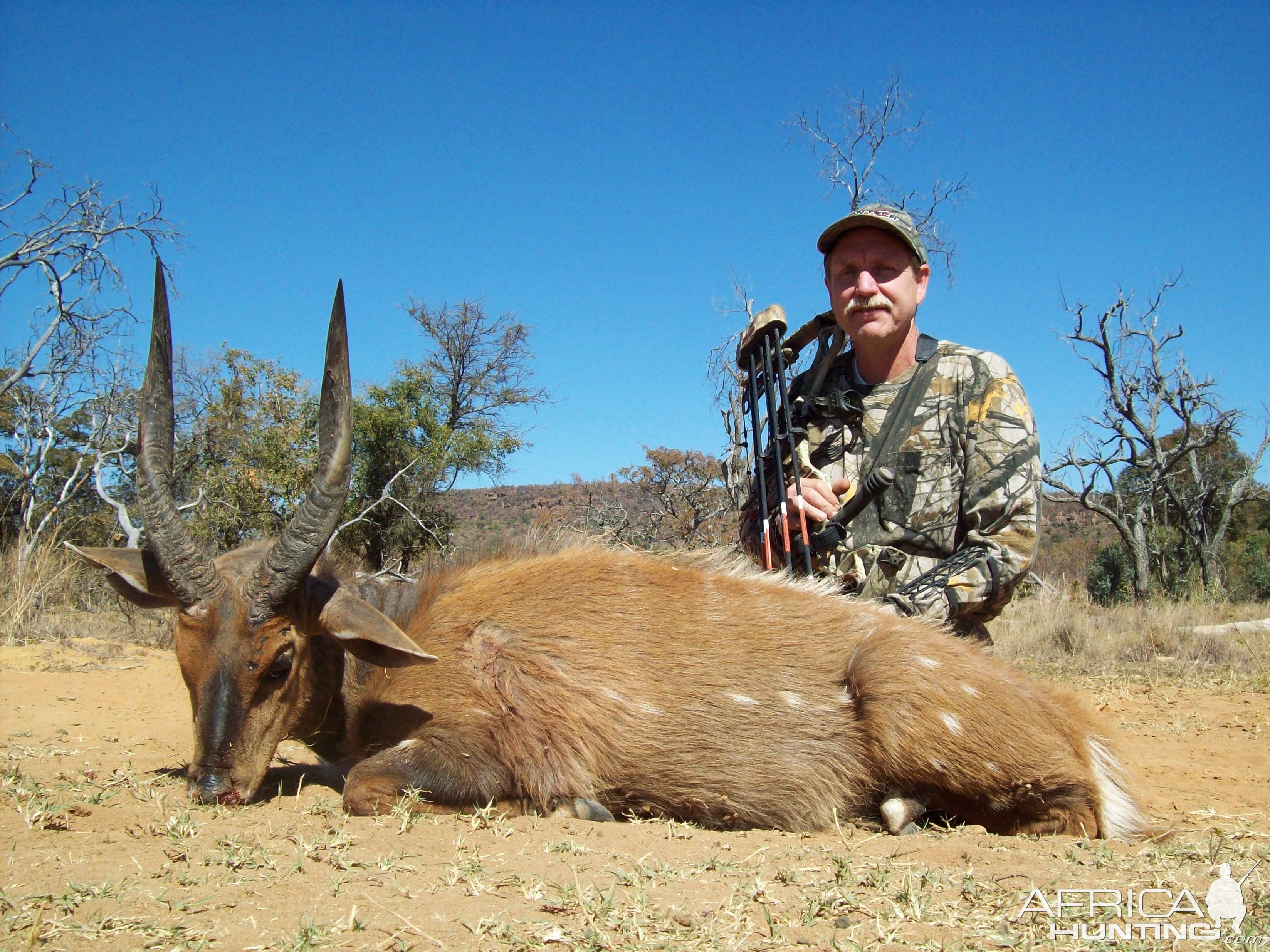 Bow Hunting Bushbuck in South Africa