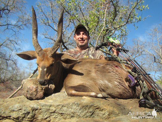 Bow Hunting Bushbuck