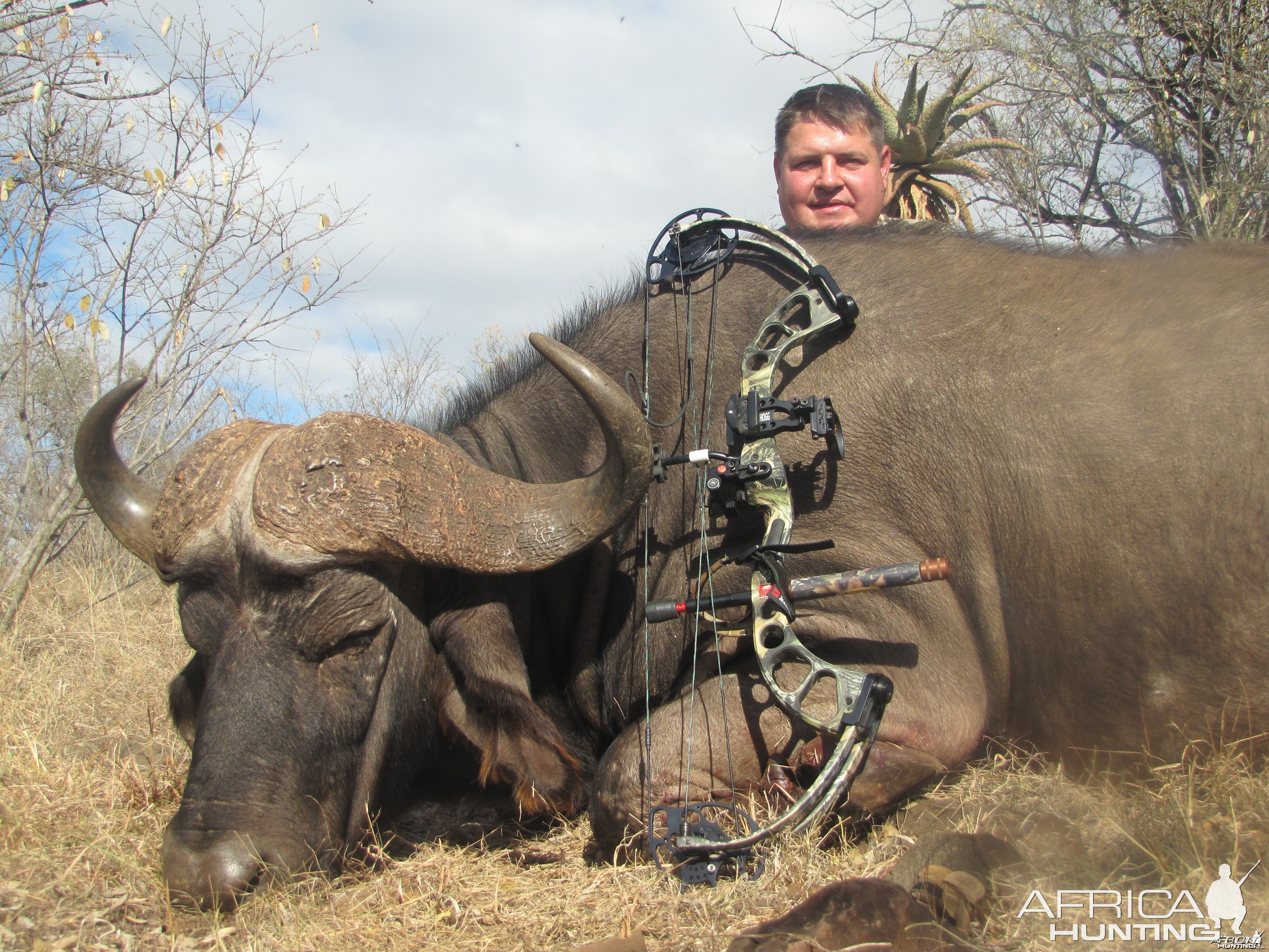 Bow Hunting Cape Buffalo