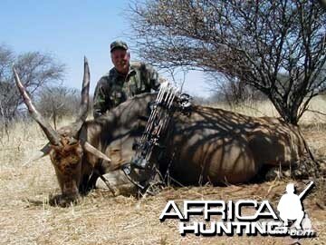Bow Hunting Cape Eland in Namibia