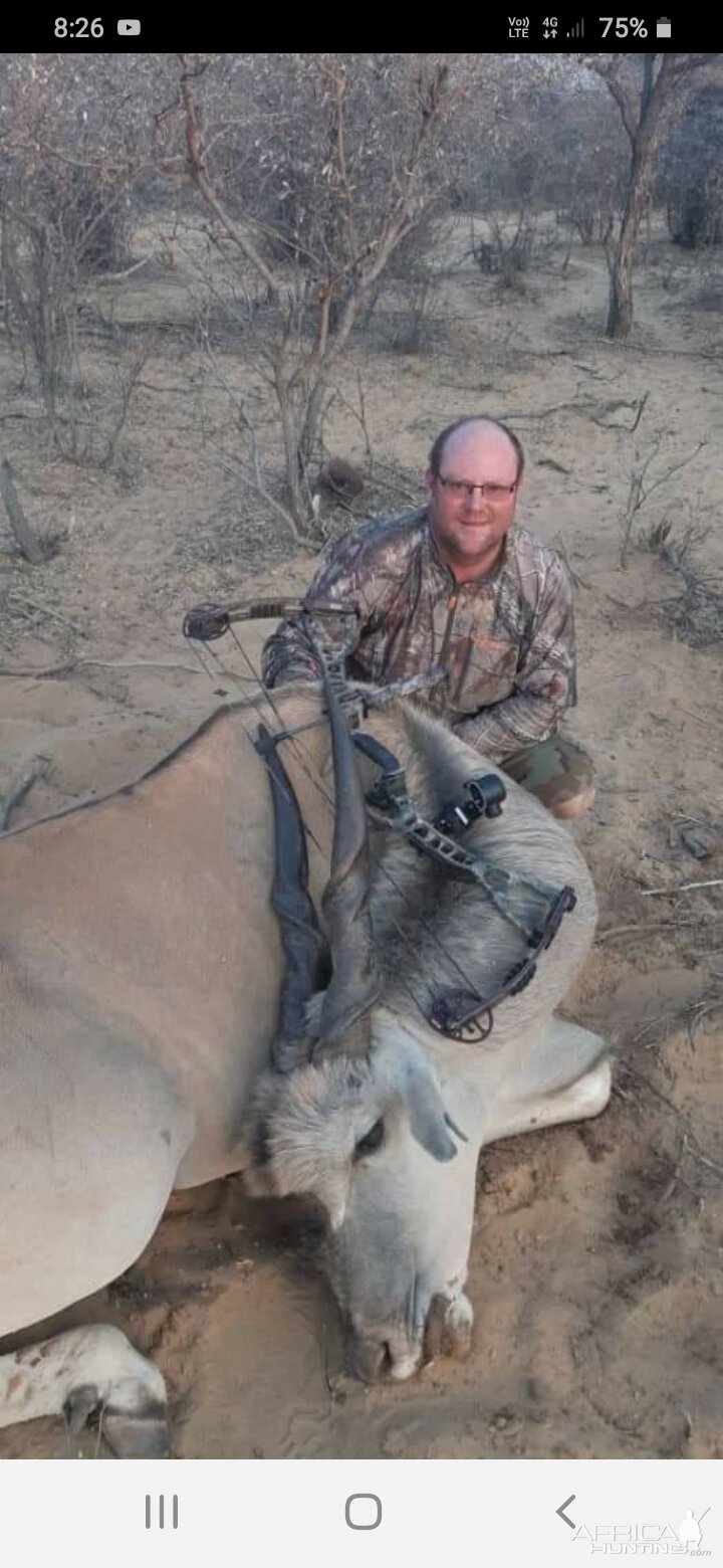 Bow Hunting Eland in South Africa