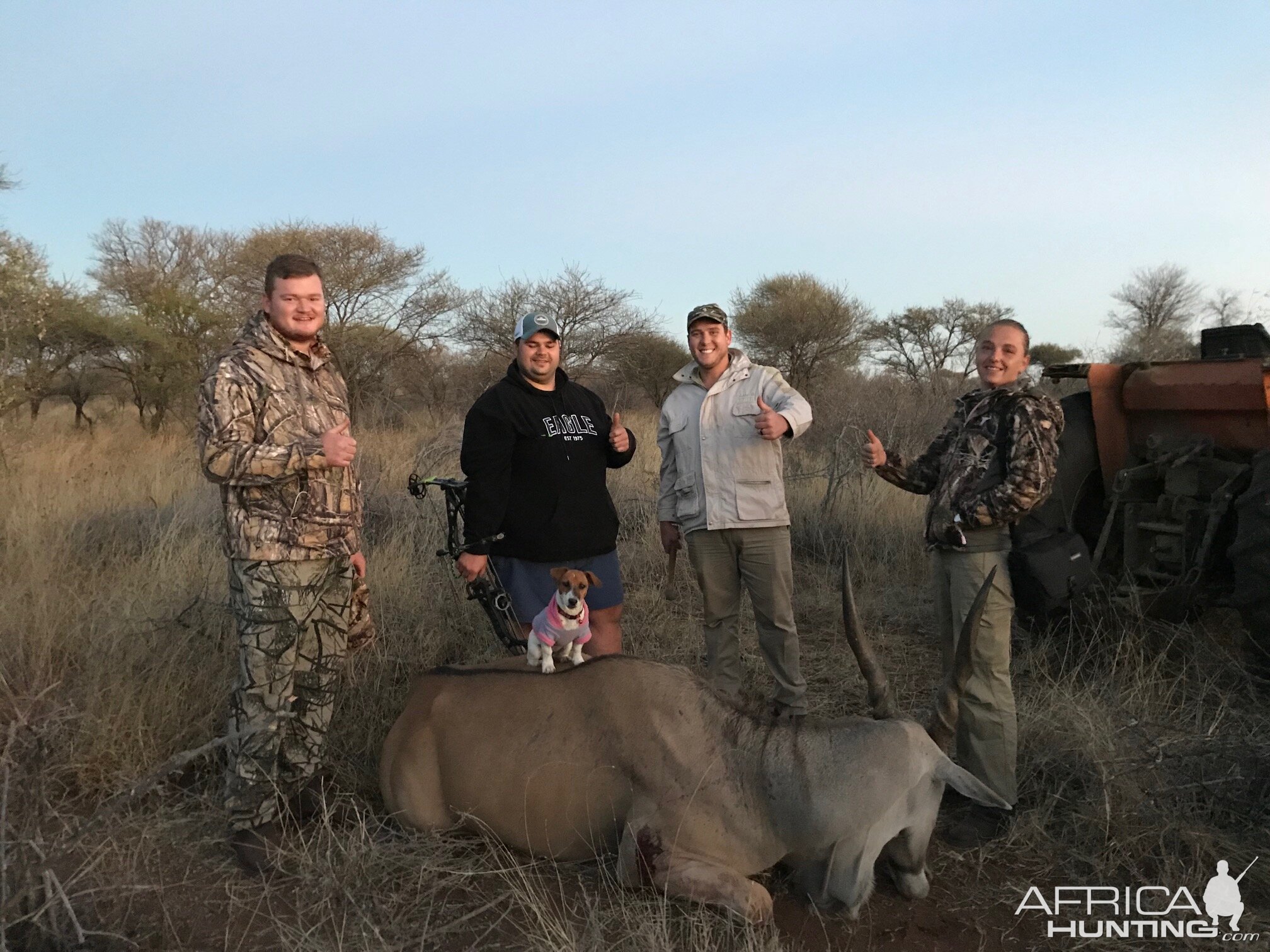 Bow Hunting Eland in South Africa