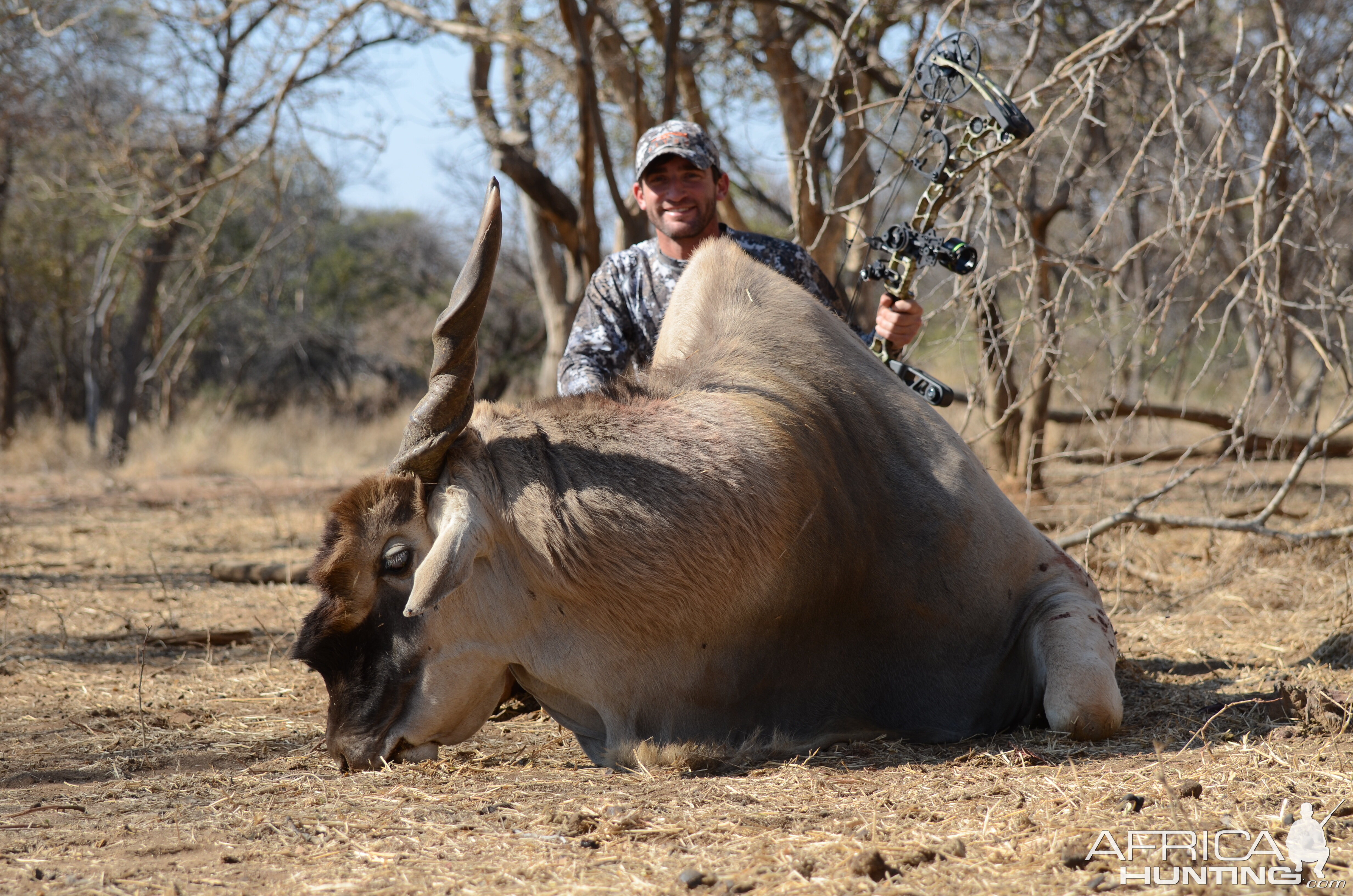 Bow Hunting Eland in South Africa