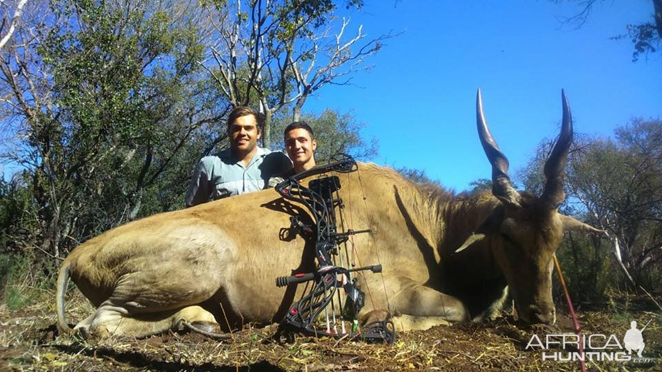 Bow Hunting Eland South Africa