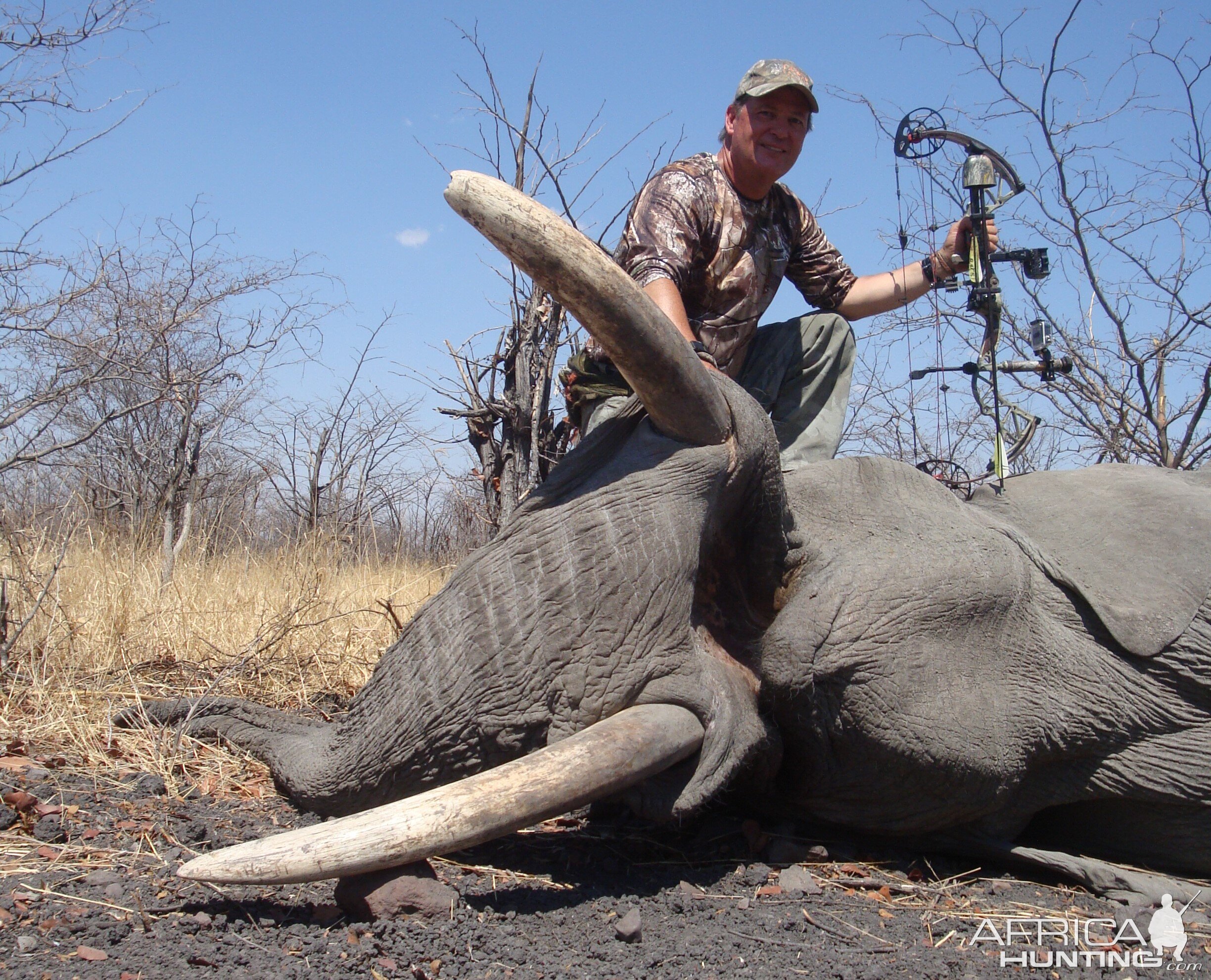 Bow Hunting Elephant