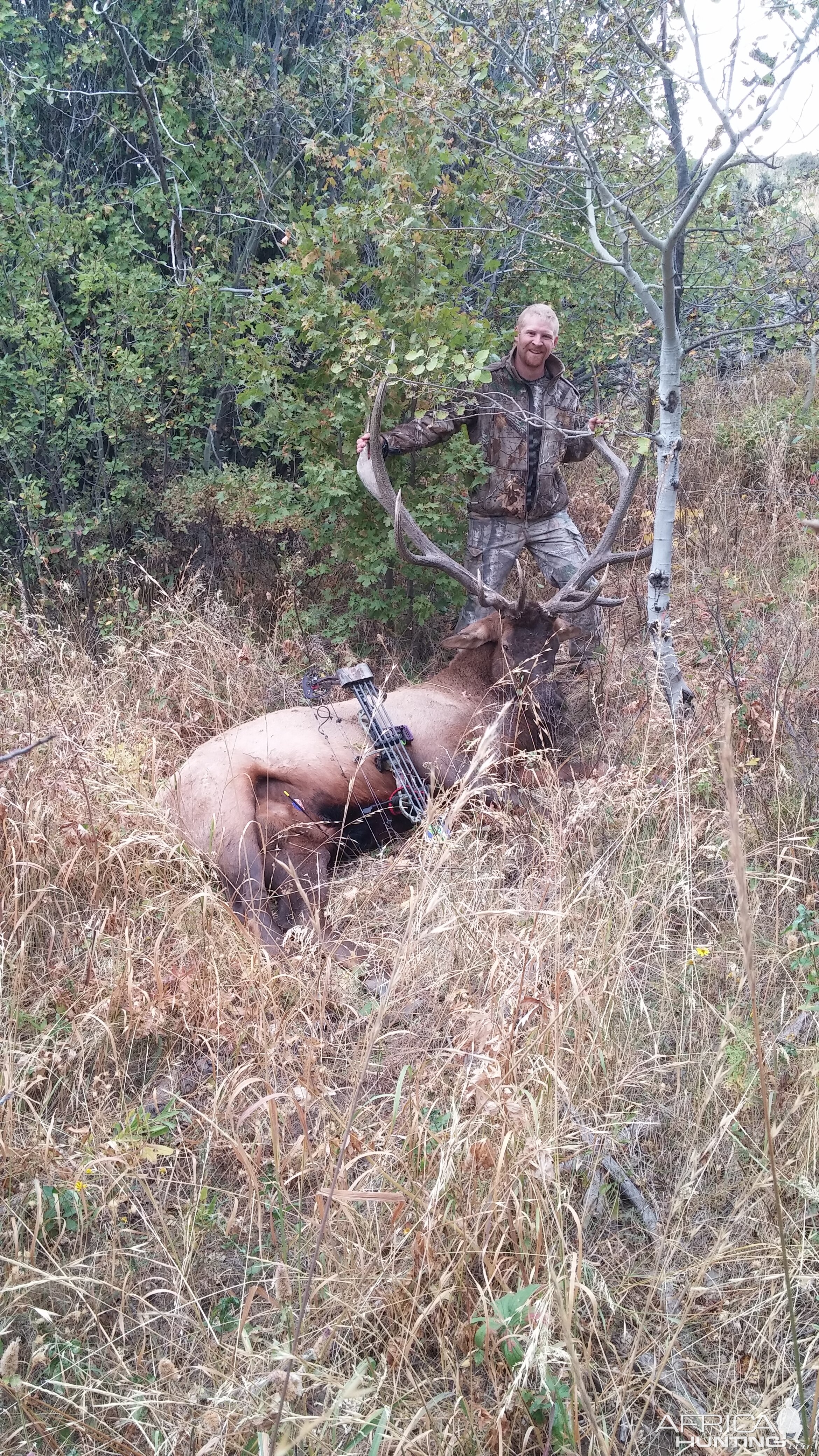 Bow Hunting Elk