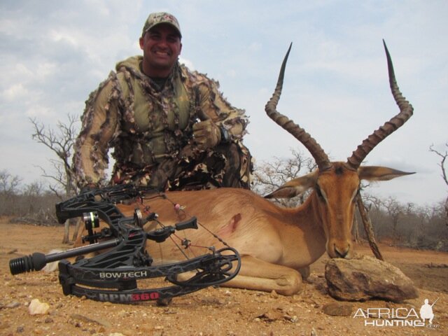 Bow Hunting Impala