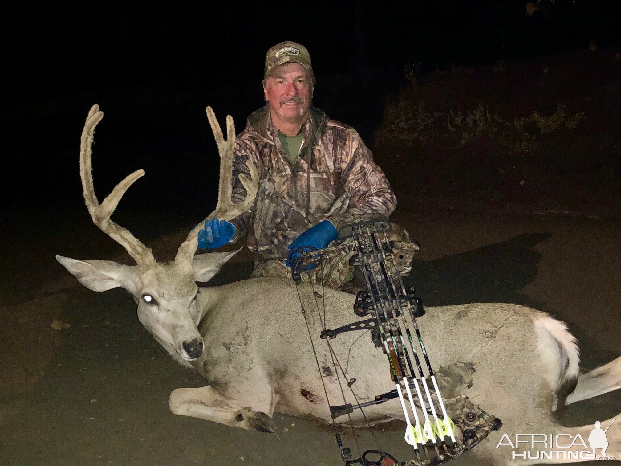 Bow Hunting Mule Deer Wyoming