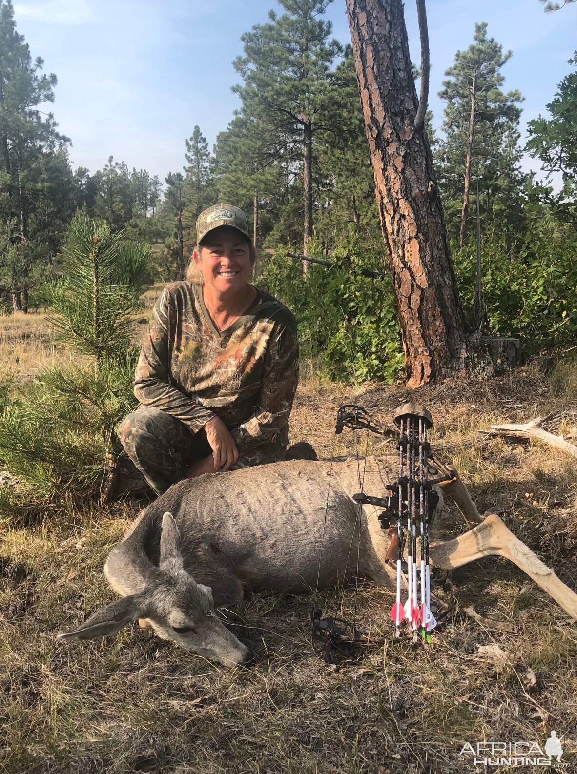 Bow Hunting Mule Deer Wyoming