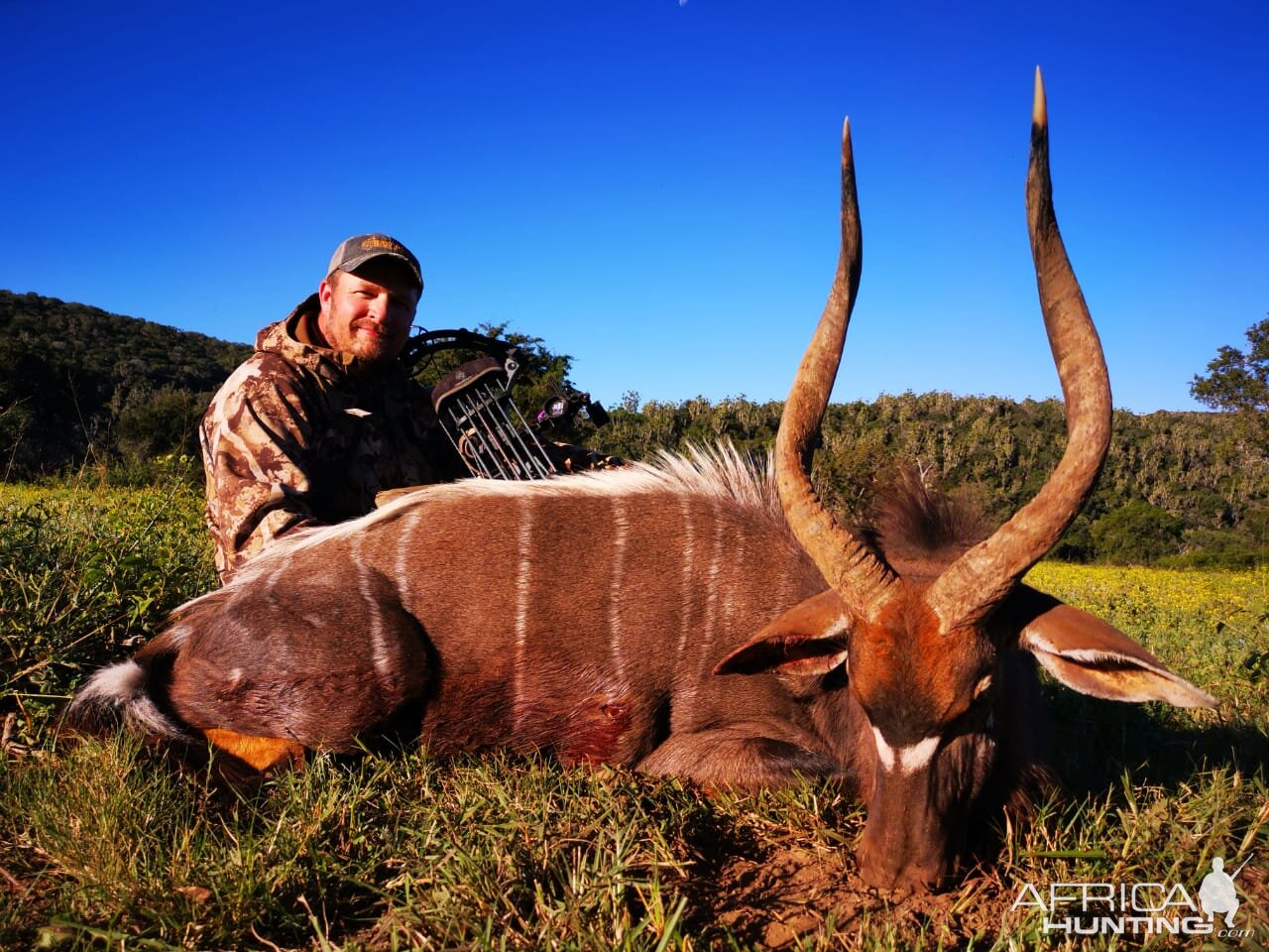 Bow Hunting Nyala in South Africa