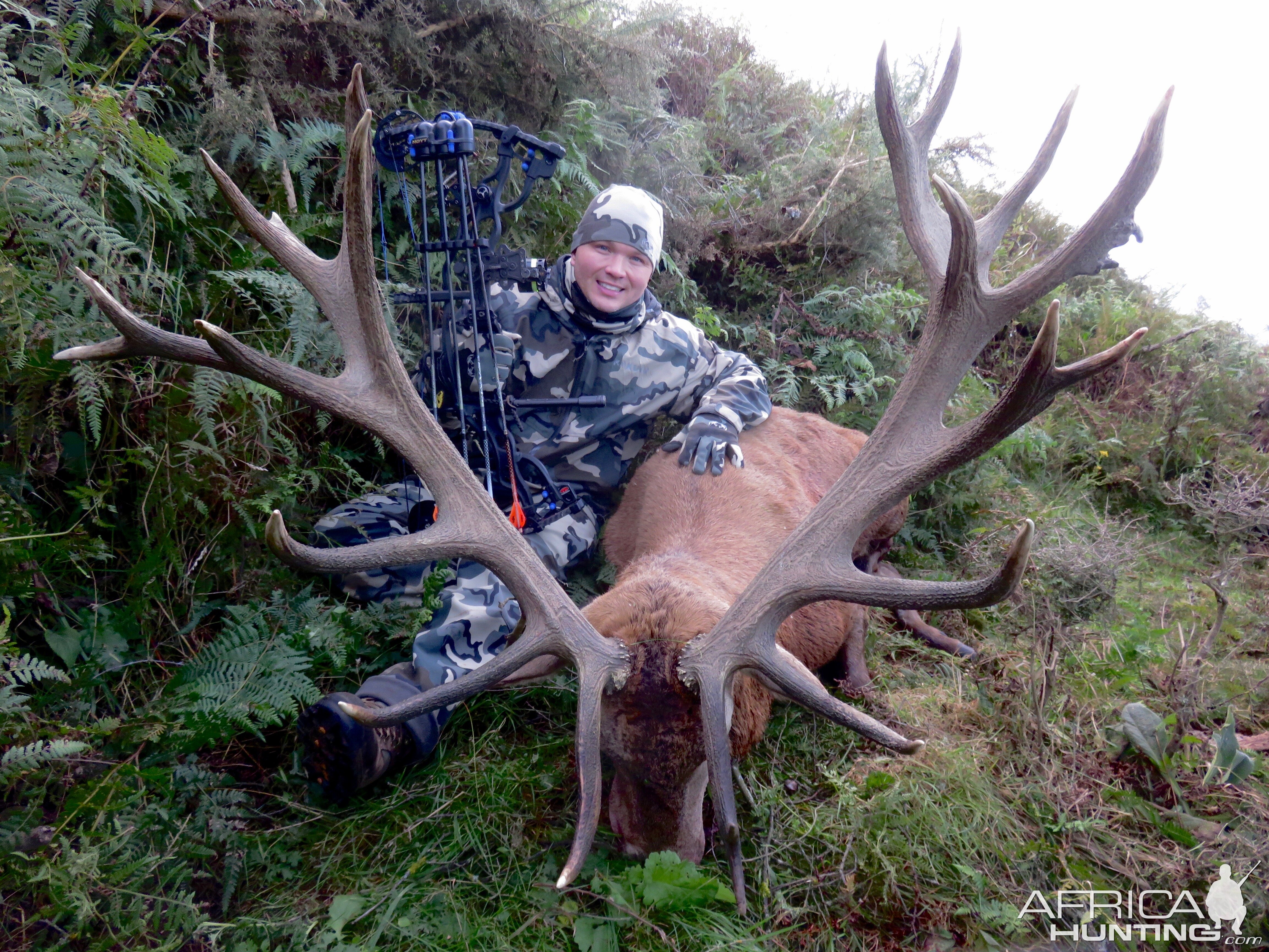 Bow Hunting Red Stag New Zealand