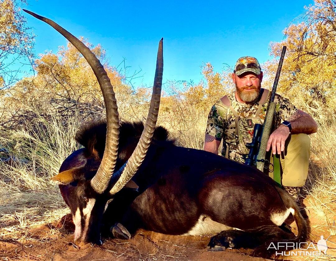 Bow Hunting Sable South Africa