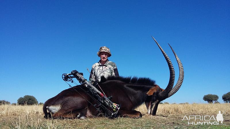 Bow Hunting South Africa Sable Antelope