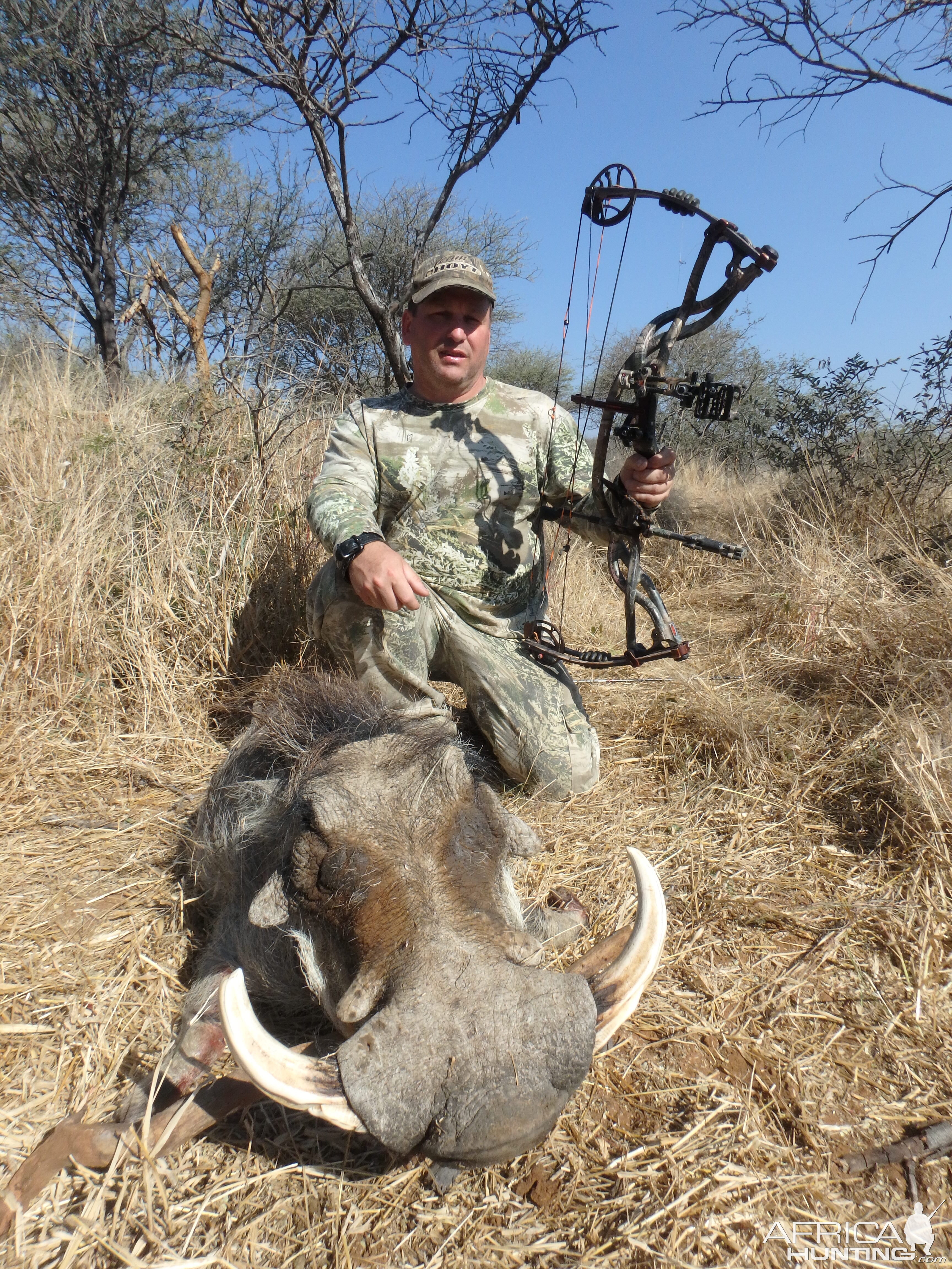 Bow Hunting Warthog in Namibia