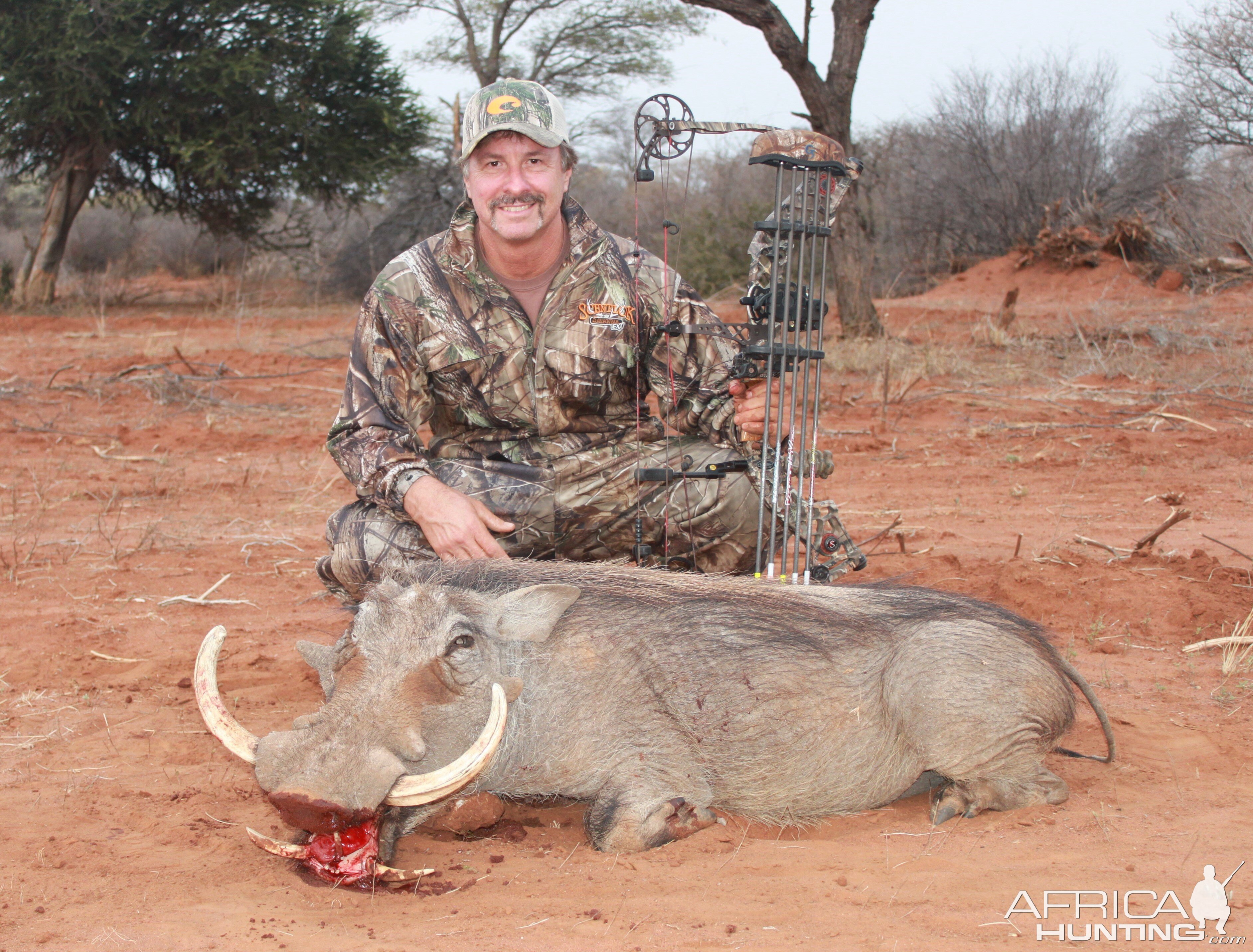Bow Hunting Warthog in South Africa