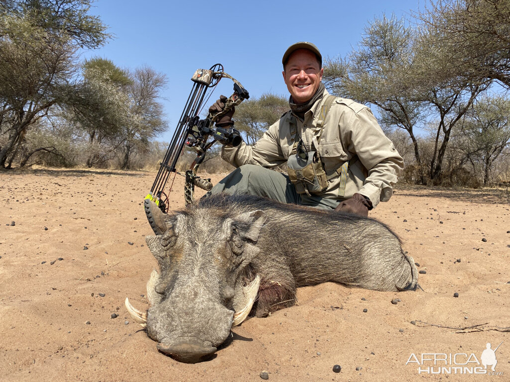 Bow Hunting Warthog South Africa