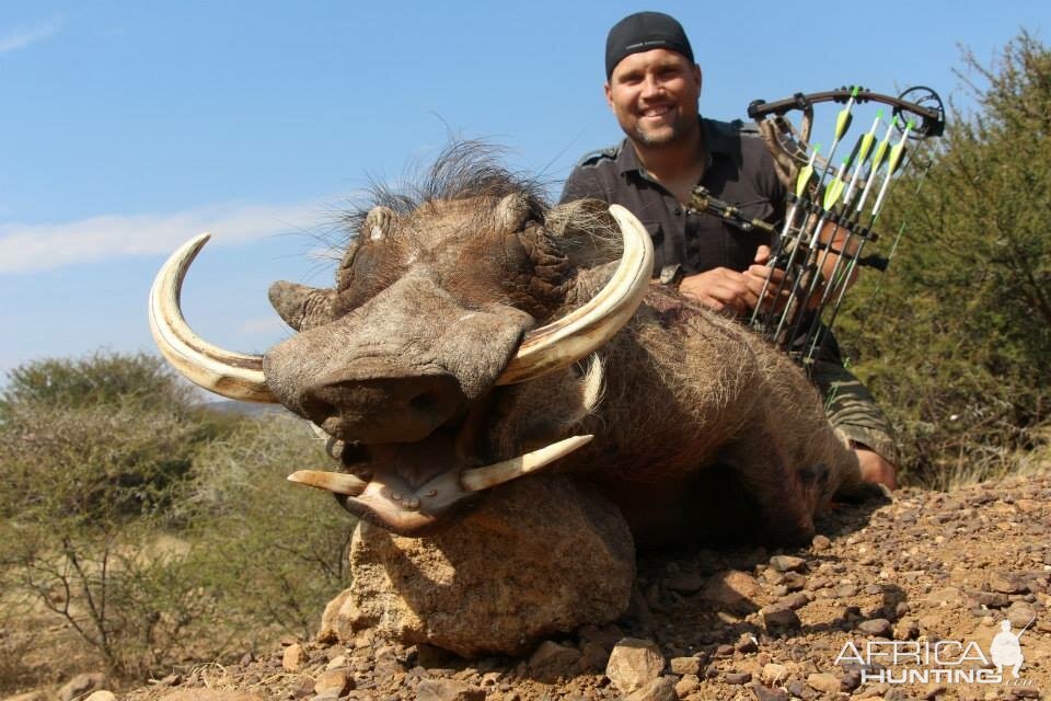 Bow Hunting Warthog South Africa