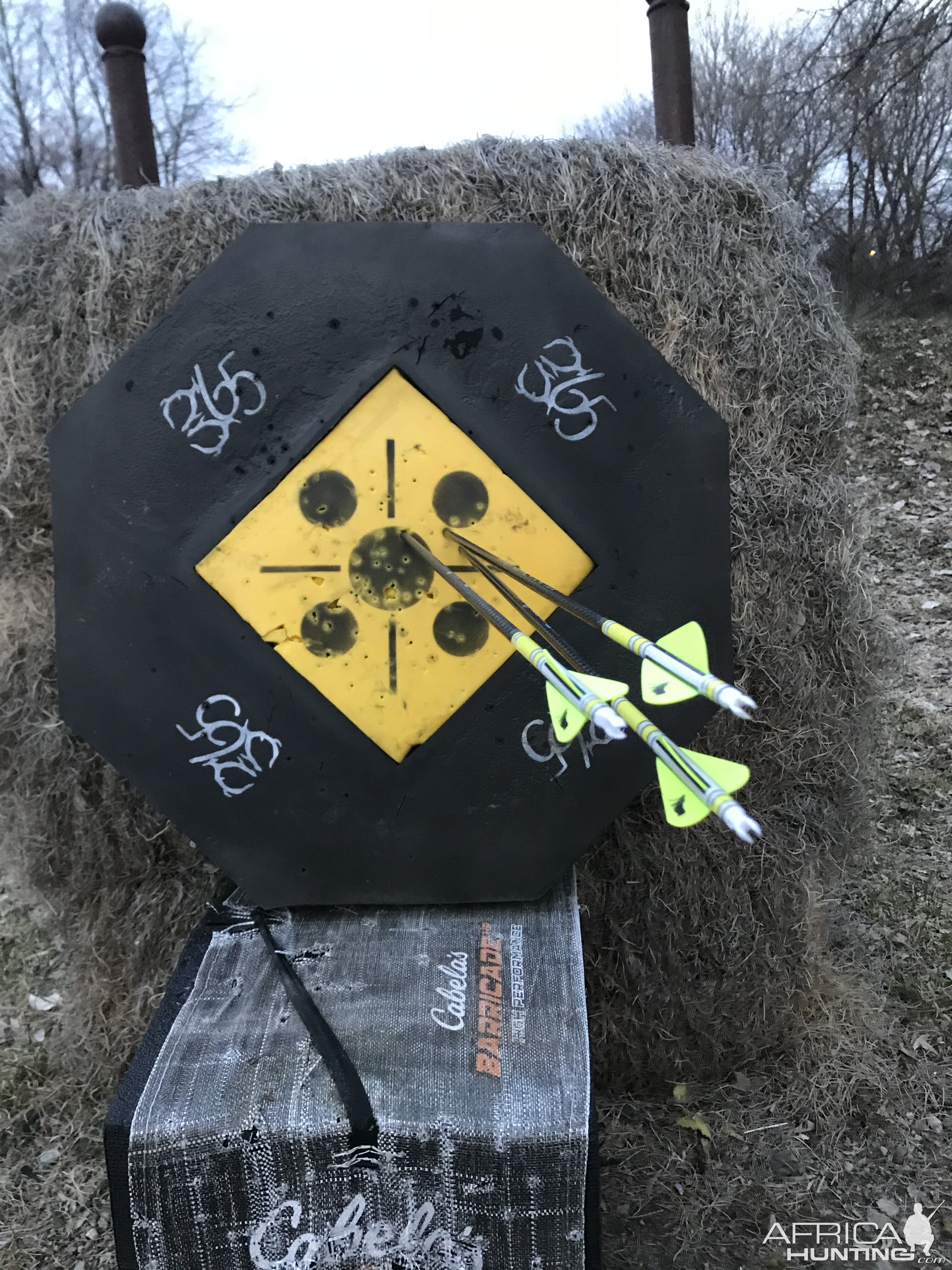 Bow Range Shots
