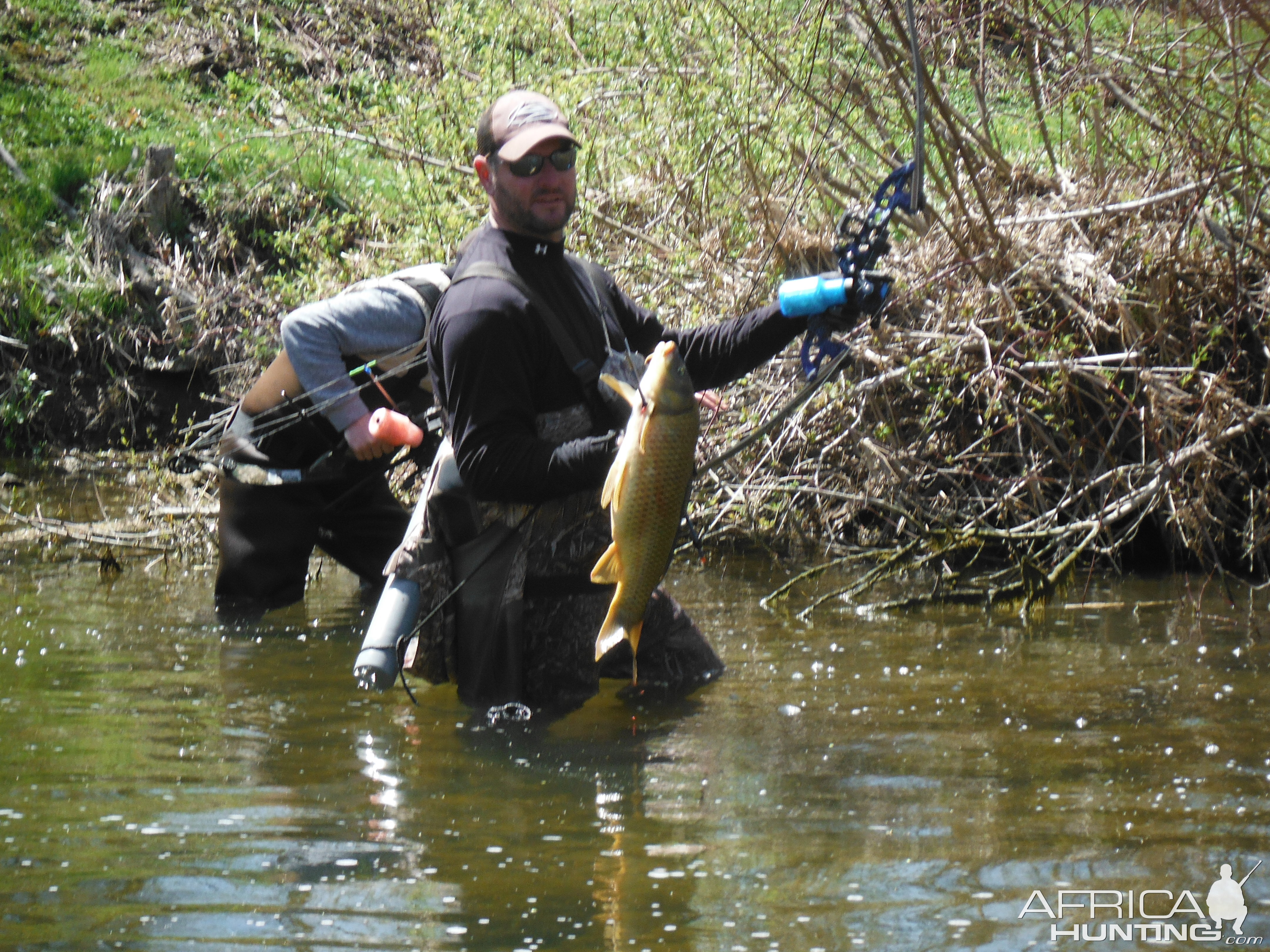 Bowfishing Carp