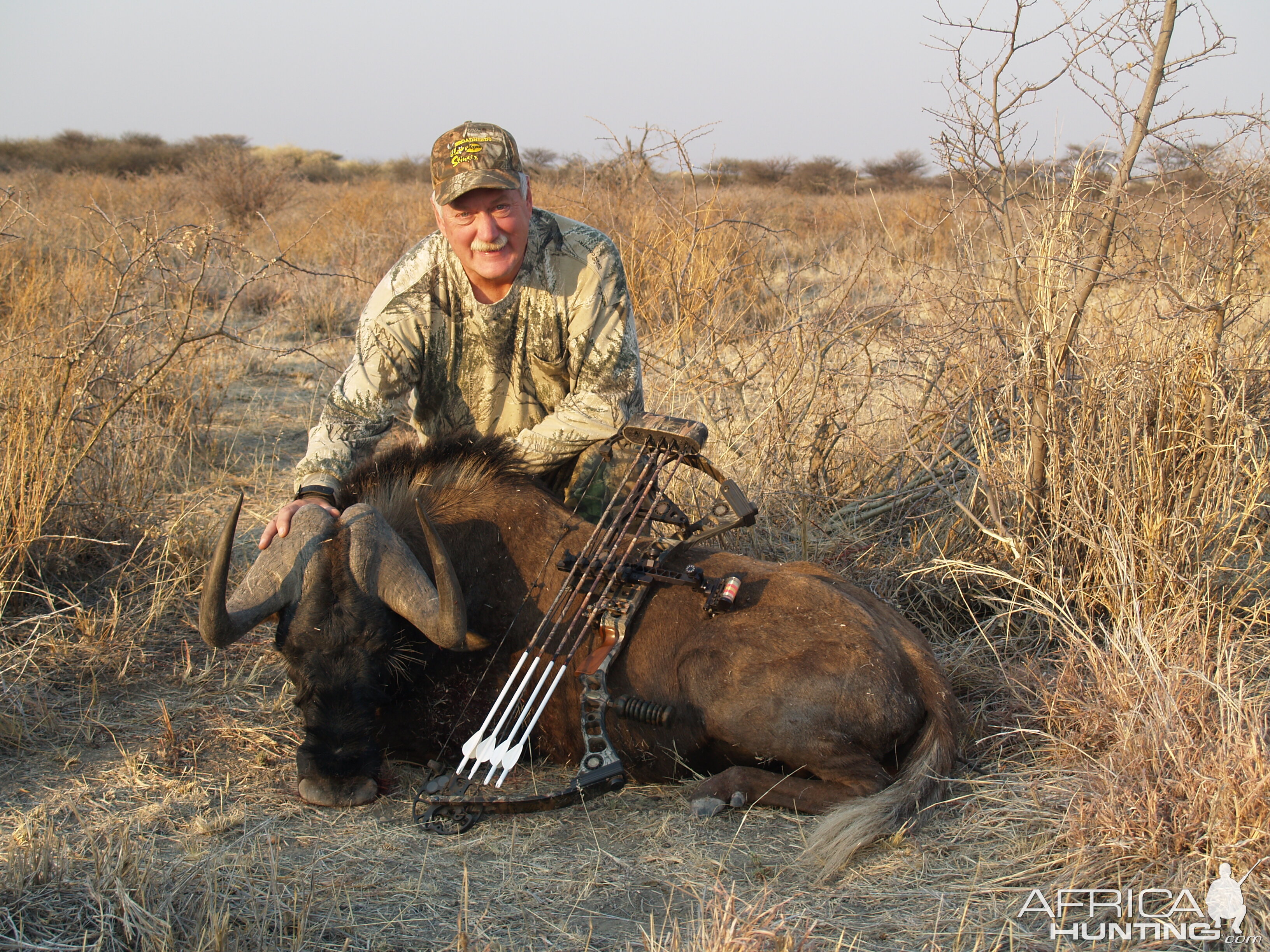Bowhunting Black Wildebeest in Namibia