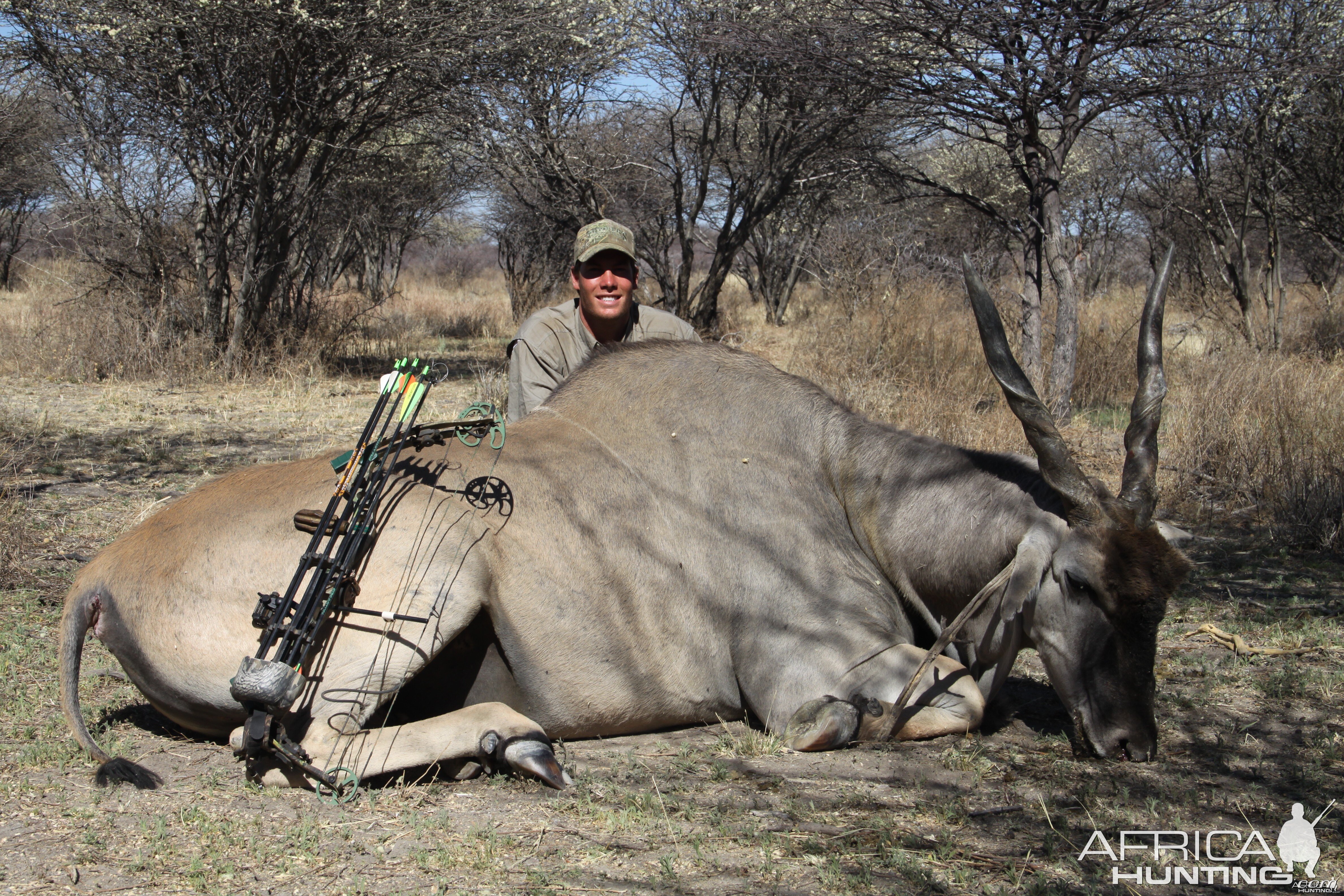 Bowhunting Cape Eland in Namibia