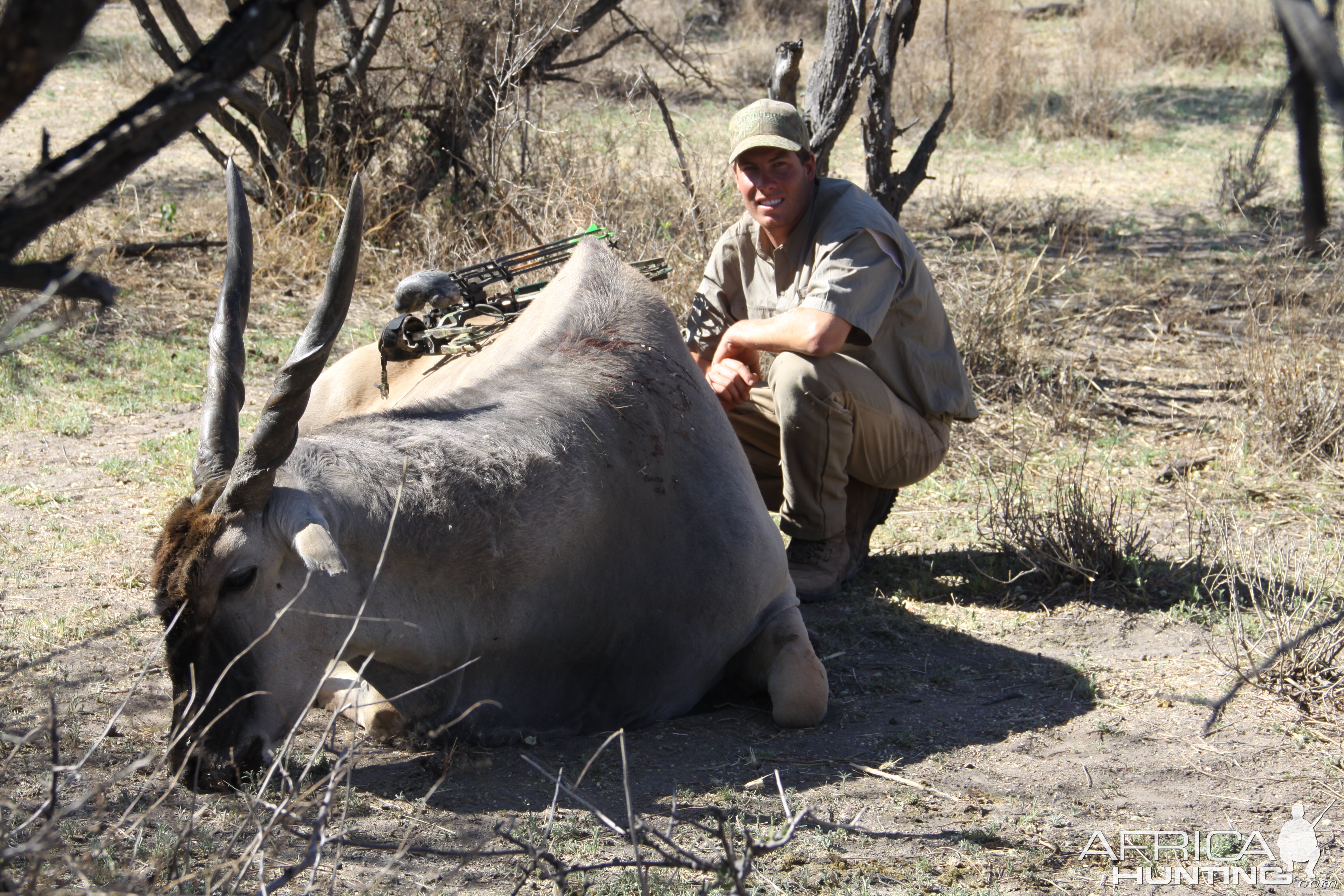 Bowhunting Cape Eland in Namibia