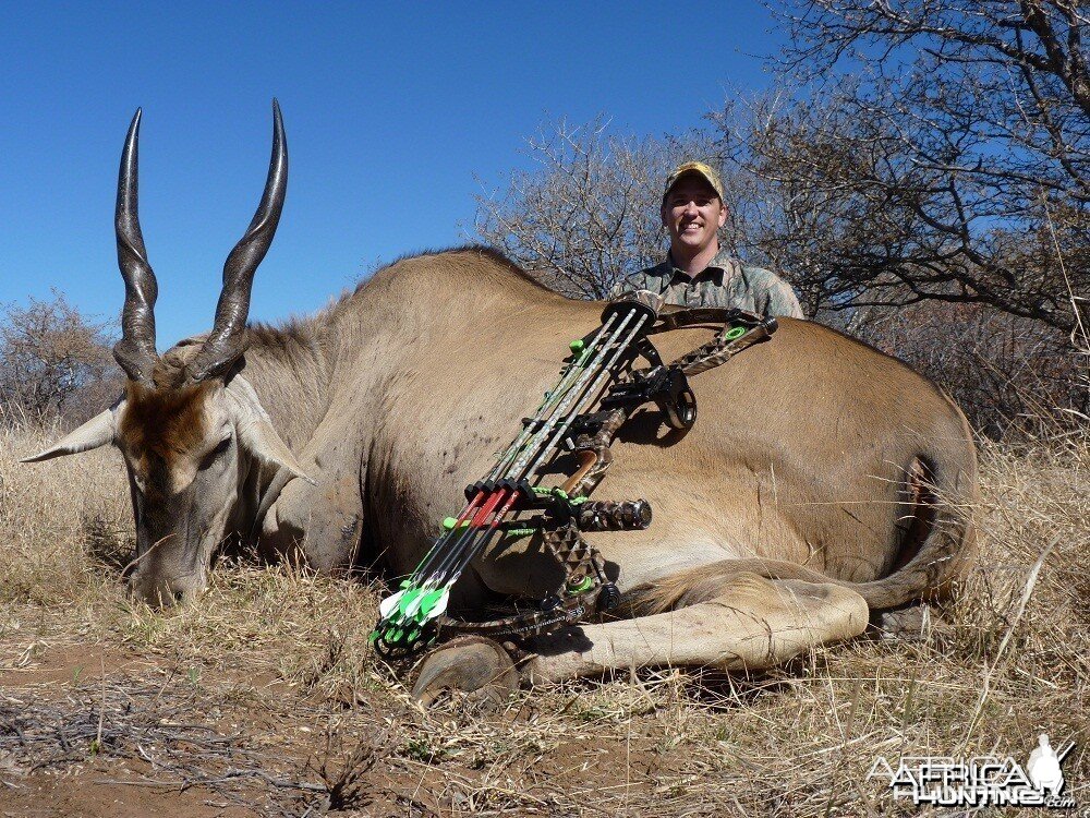 Bowhunting Eland South Africa